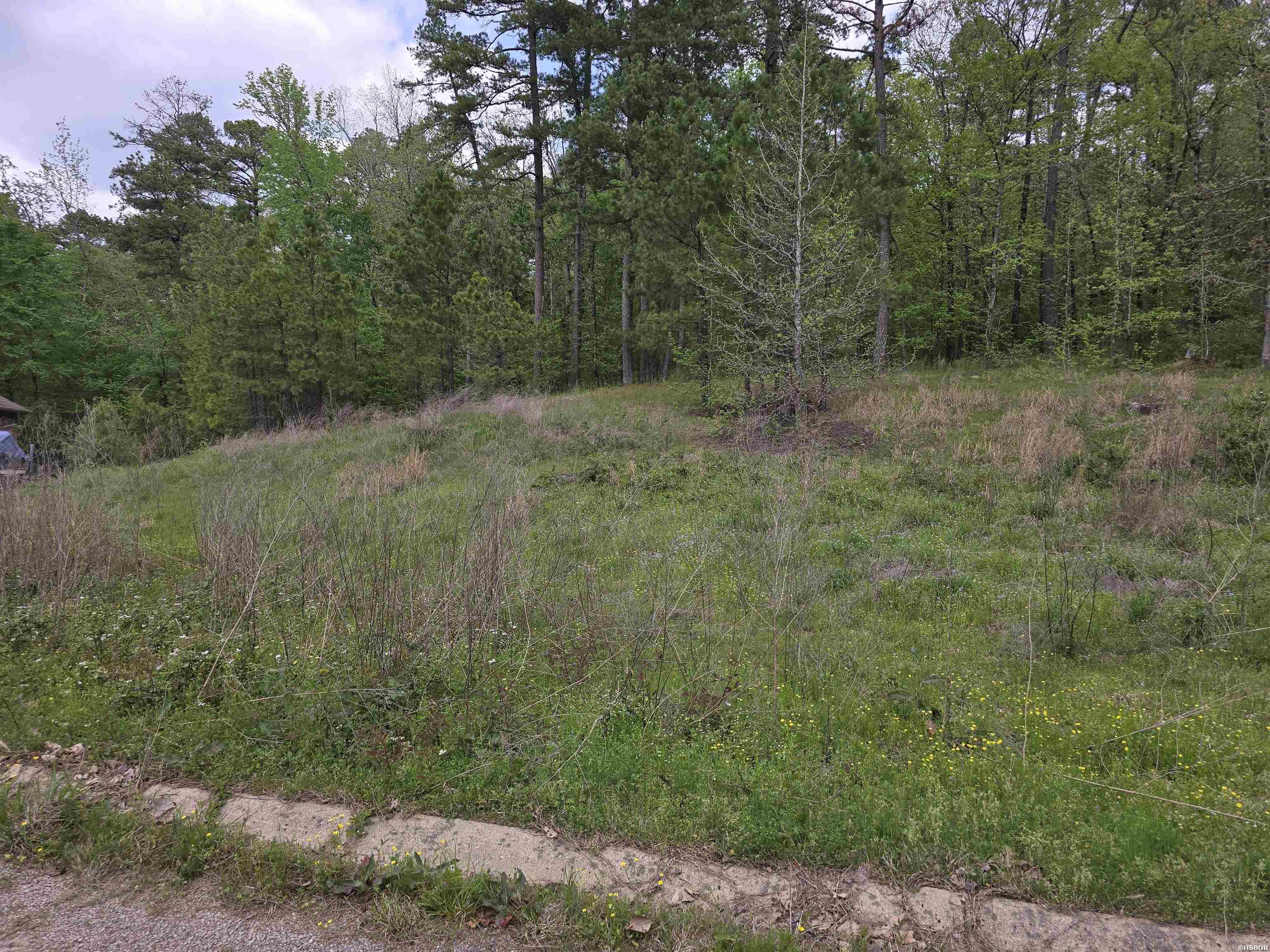 Lot 15 Blue Moon Terrace Property Photo 1