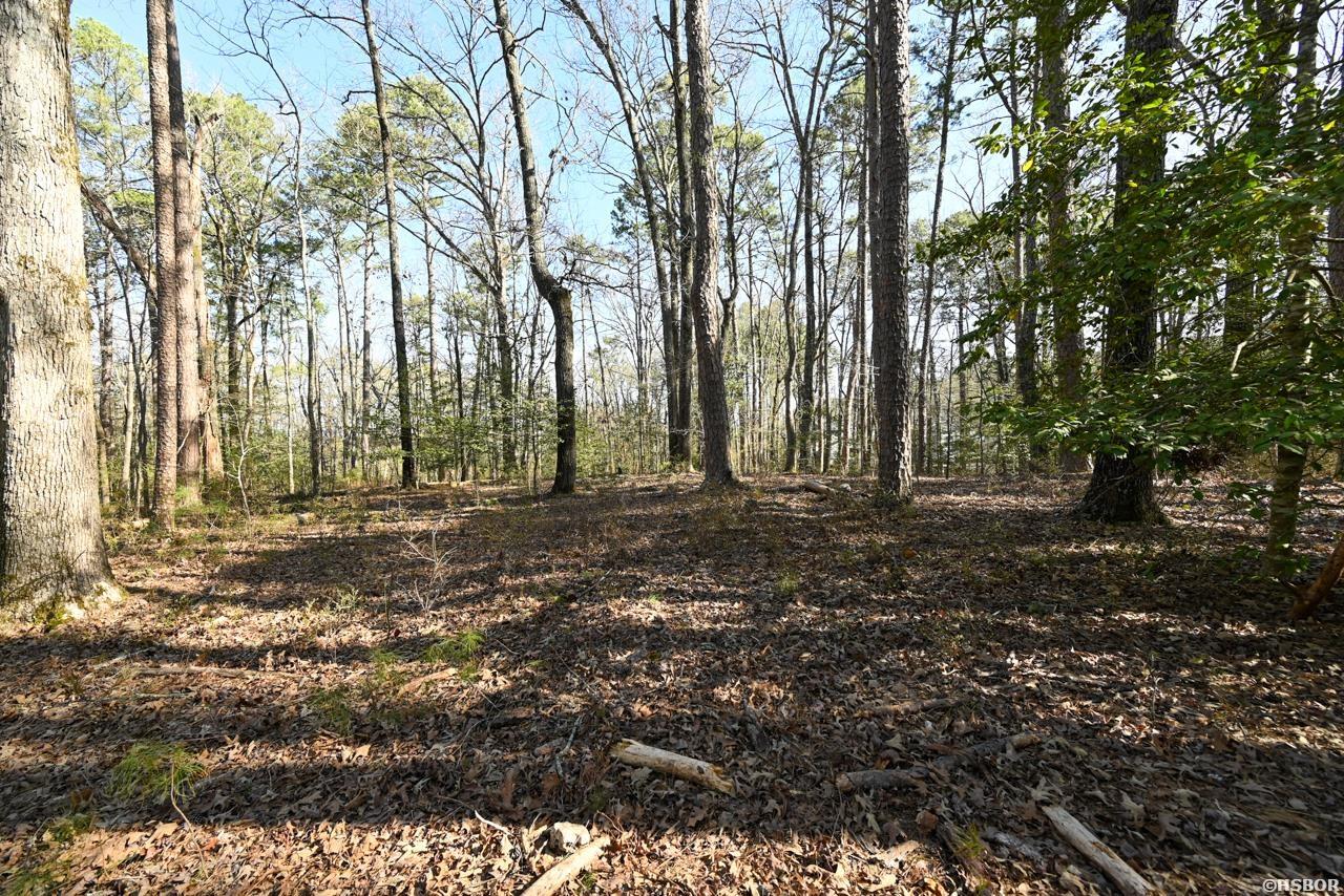 Tbd Silverpoint Drive Property Photo 8
