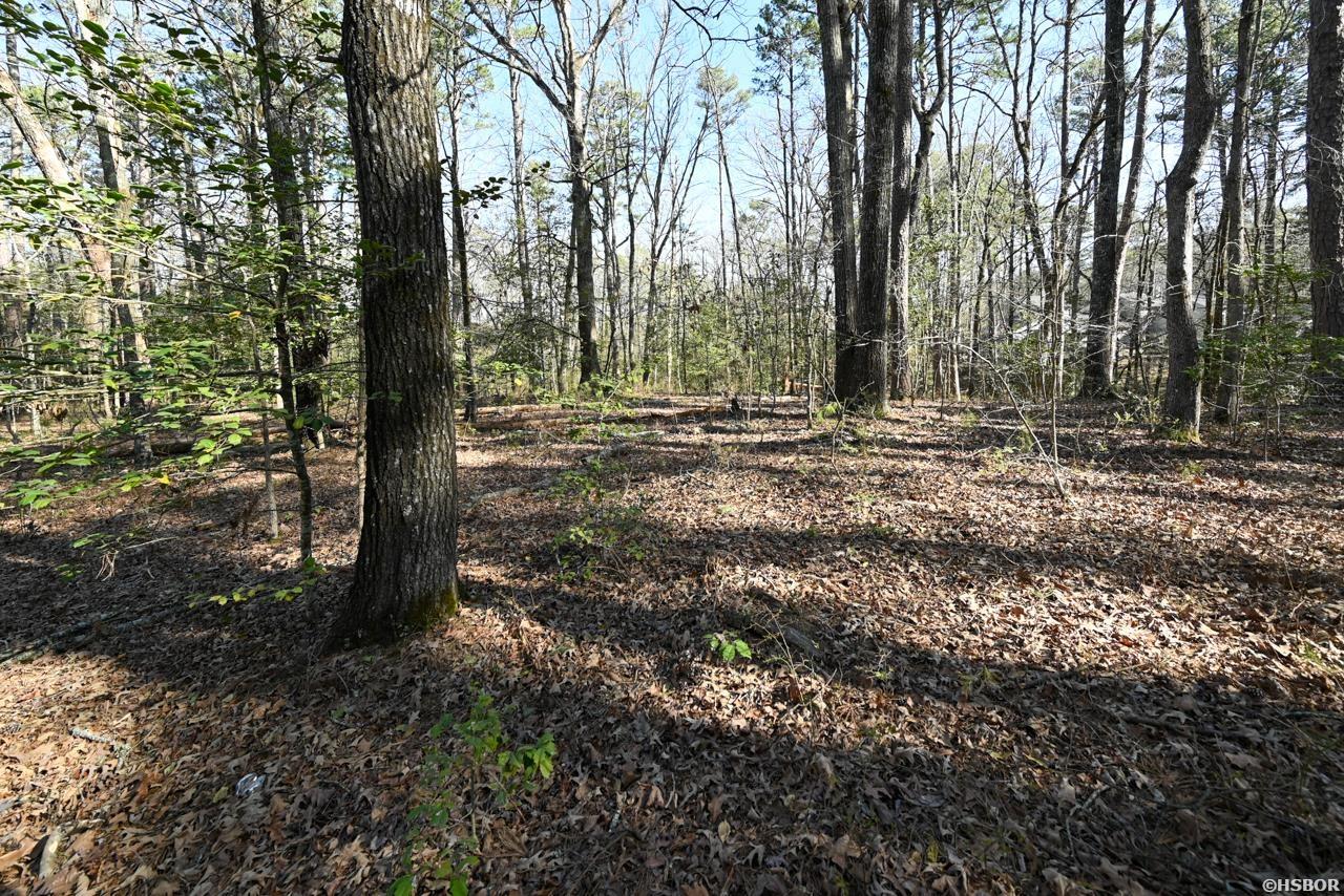 Tbd Silverpoint Drive Property Photo 9