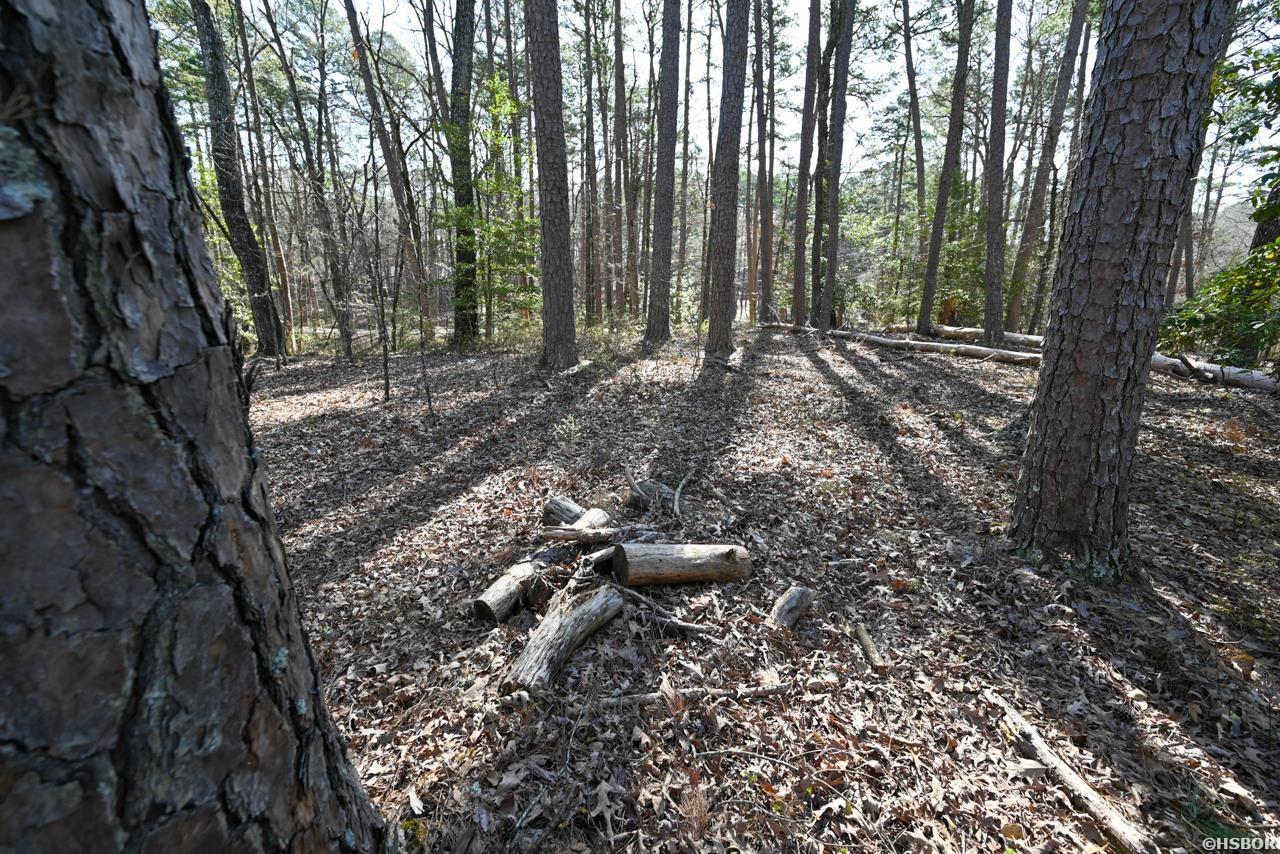 Tbd Silverpoint Drive Property Photo 10