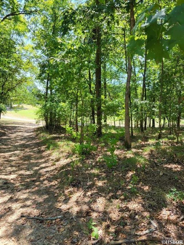 694 Pineapple Property Photo 1