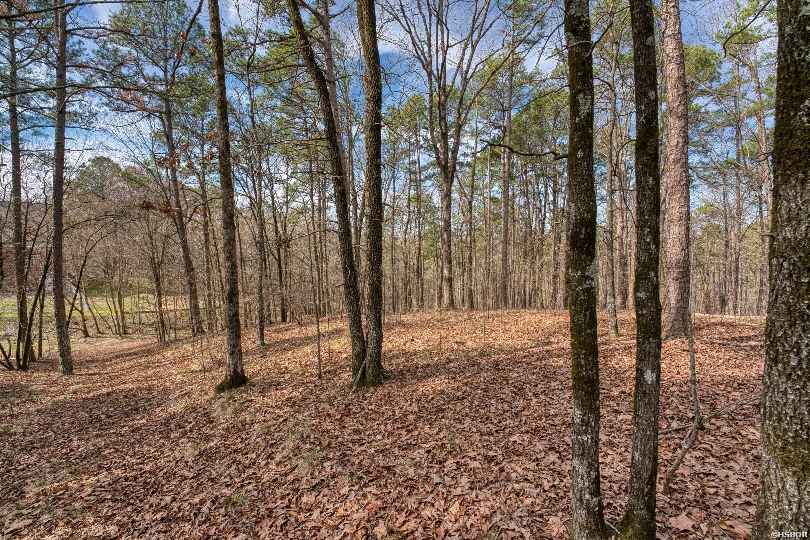 144 A&b-158 A&b Isaac Lane Property Photo 48