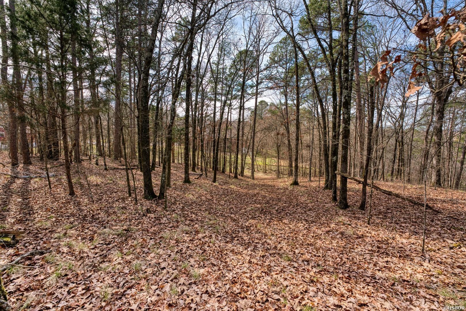 144 A&b-158 A&b Isaac Lane Property Photo 49