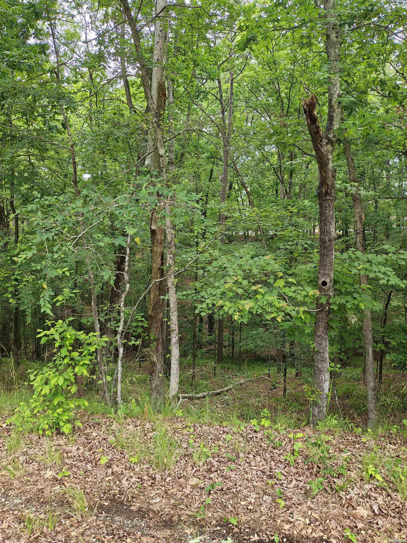 789 Plum Hollow Property Photo 1