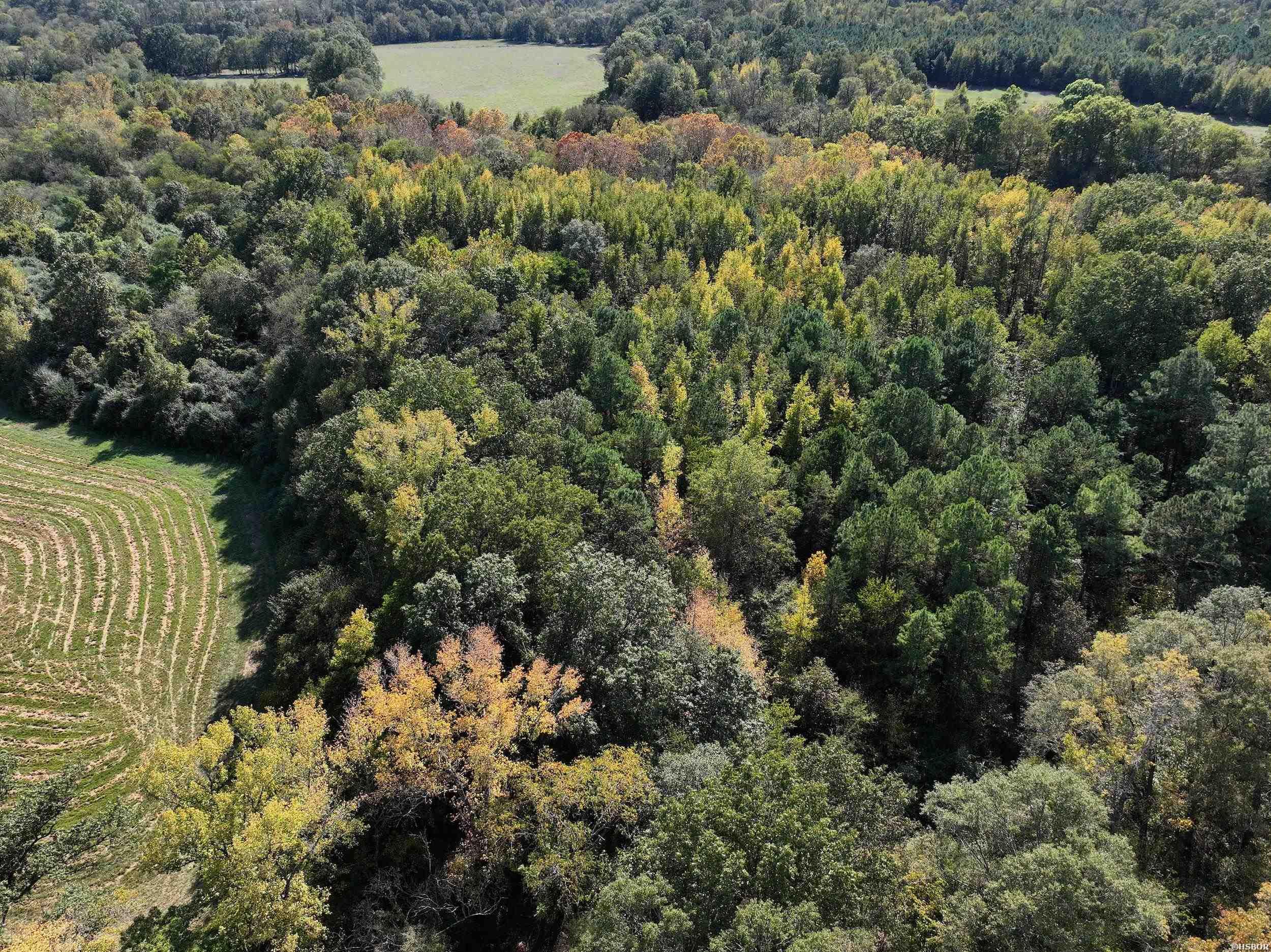 Xxx Kadoha Road Property Photo 7