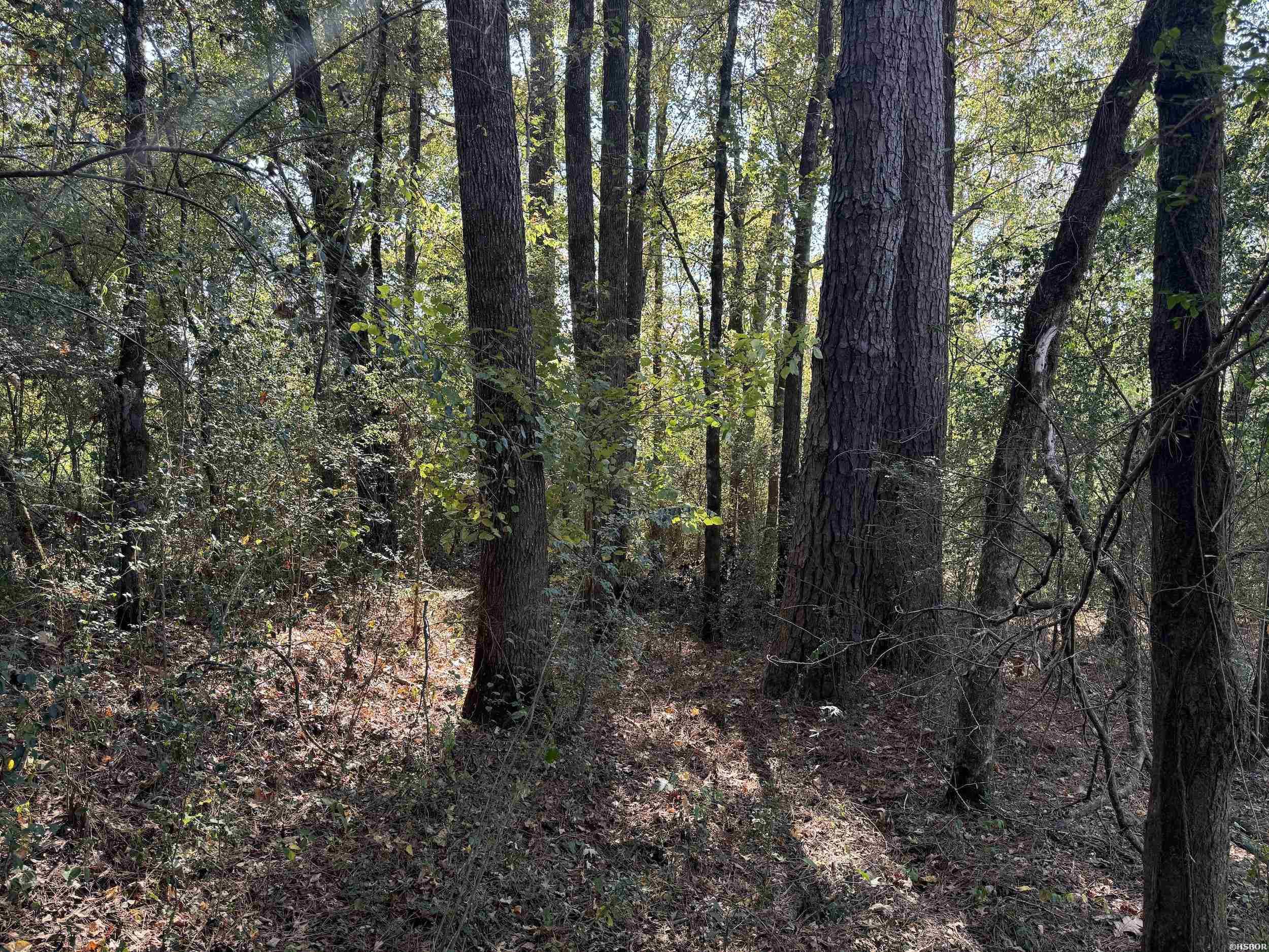 Xxx Kadoha Road Property Photo 23