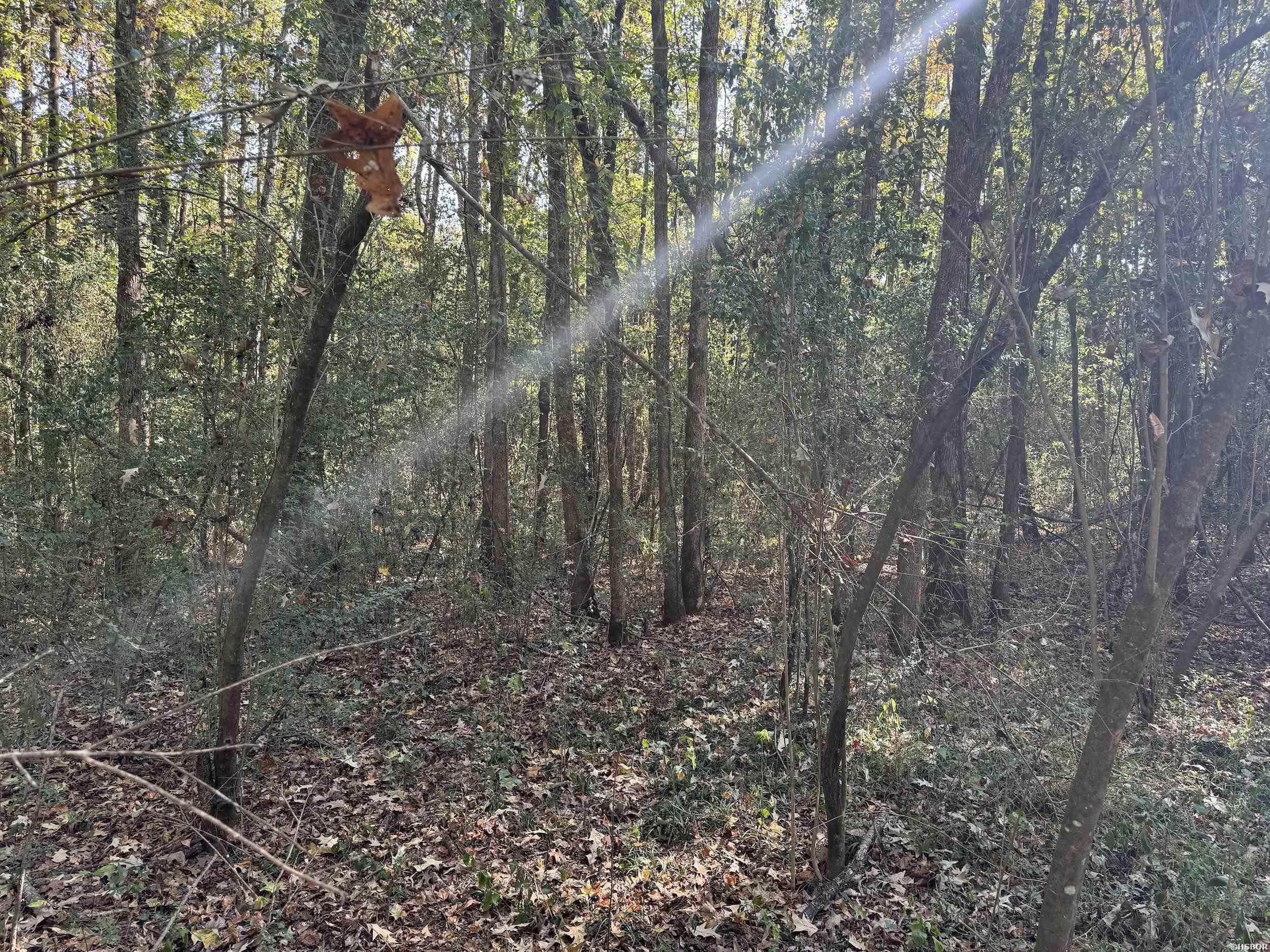 Xxx Kadoha Road Property Photo 24