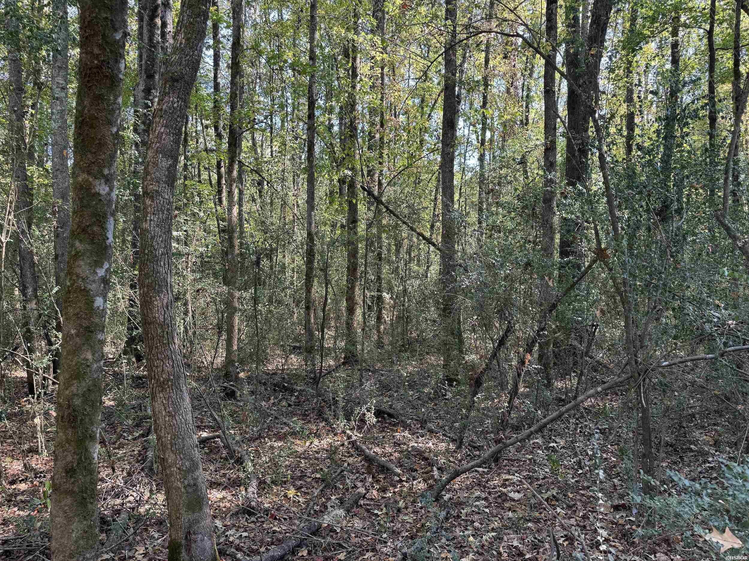 Xxx Kadoha Road Property Photo 25