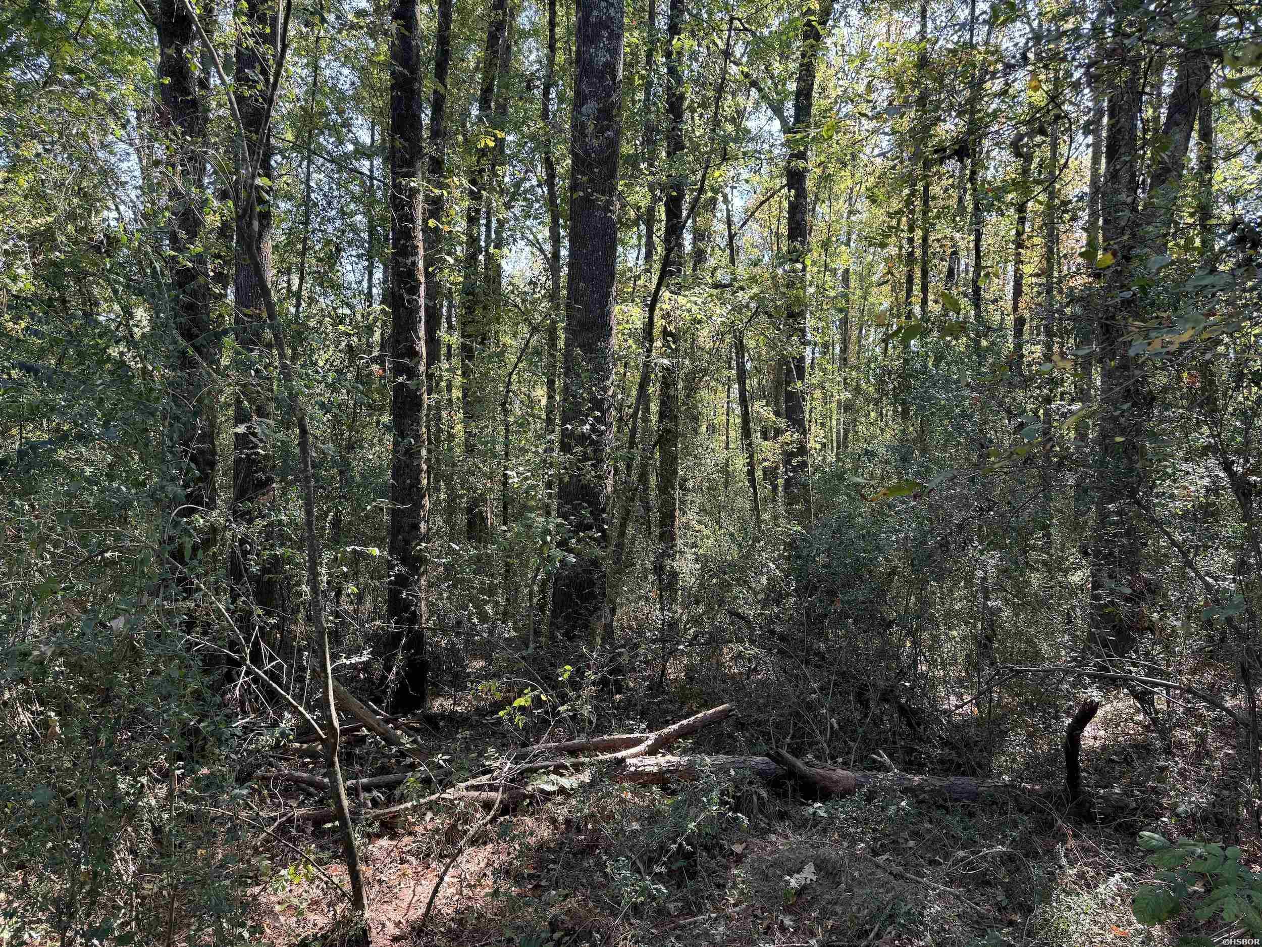 Xxx Kadoha Road Property Photo 26