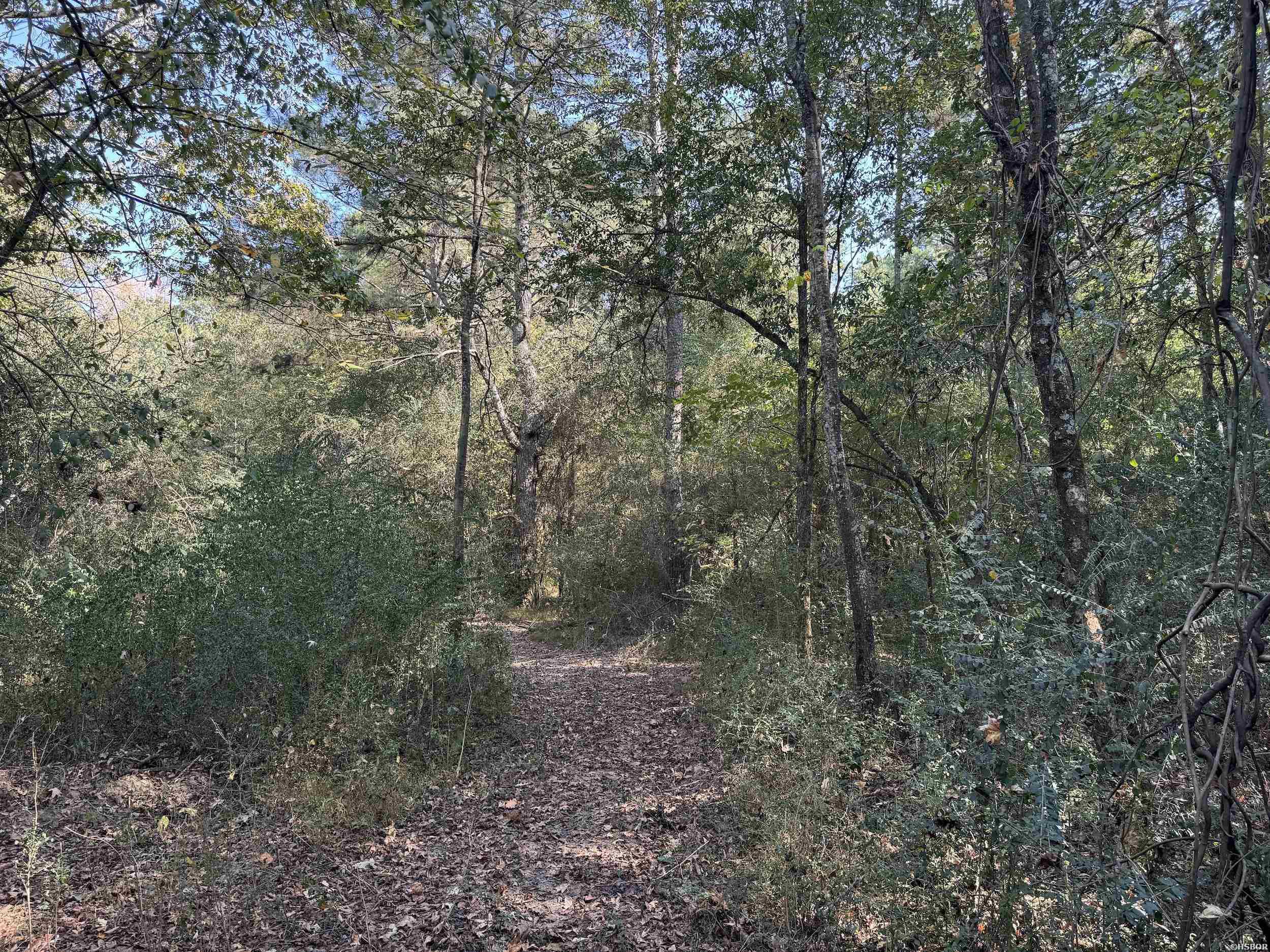 Xxx Kadoha Road Property Photo 27