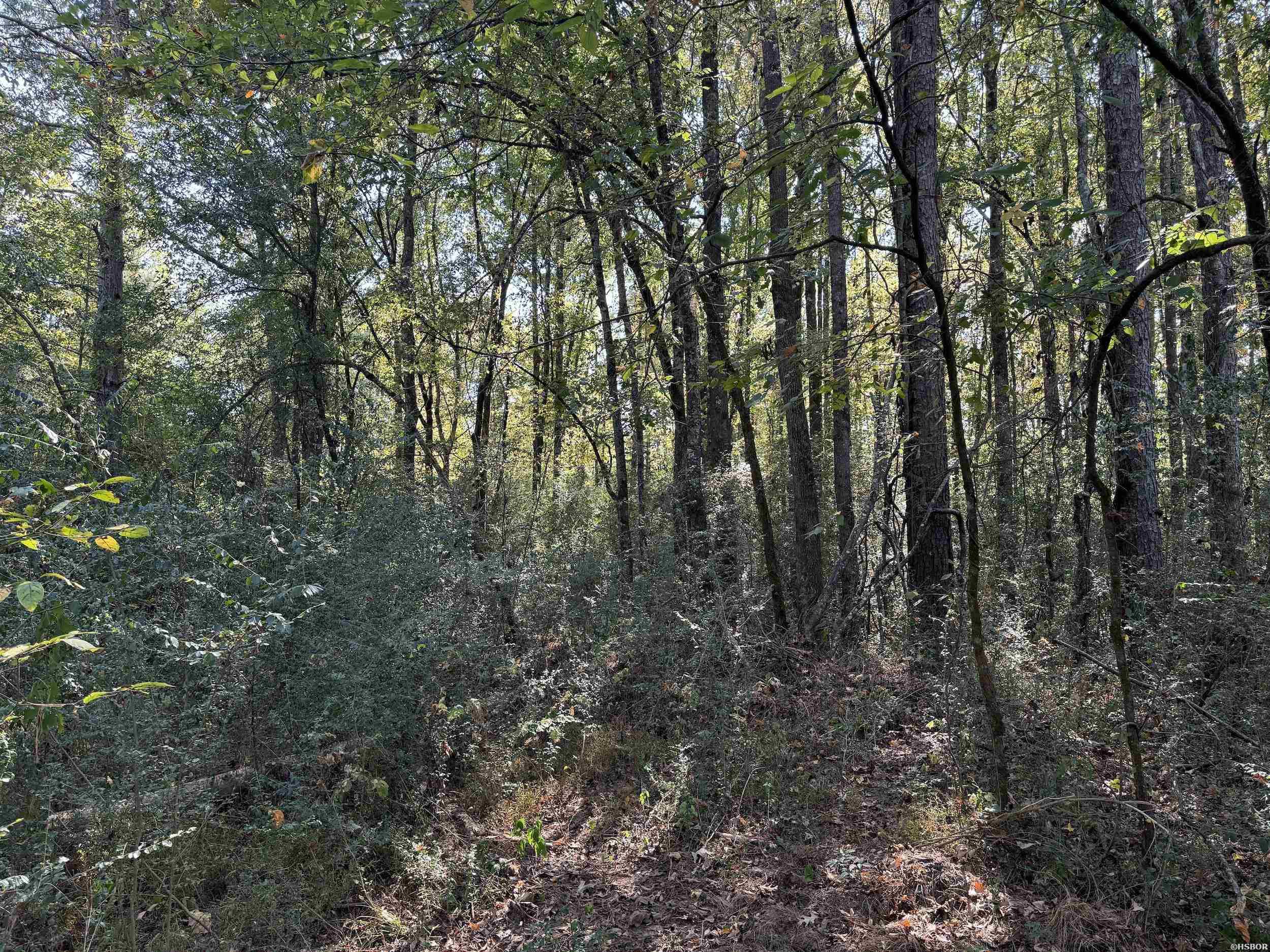 Xxx Kadoha Road Property Photo 28