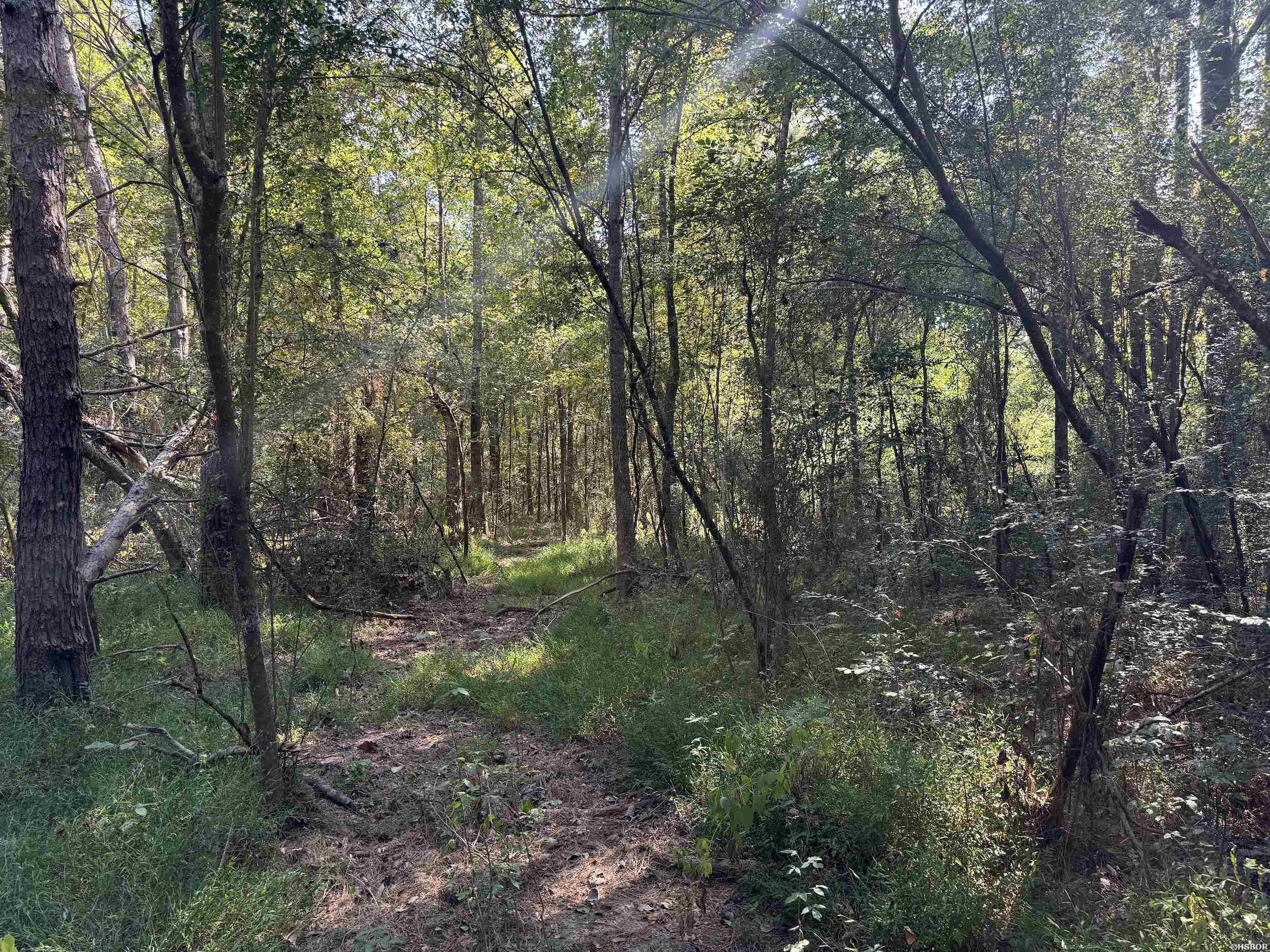 Xxx Kadoha Road Property Photo 29