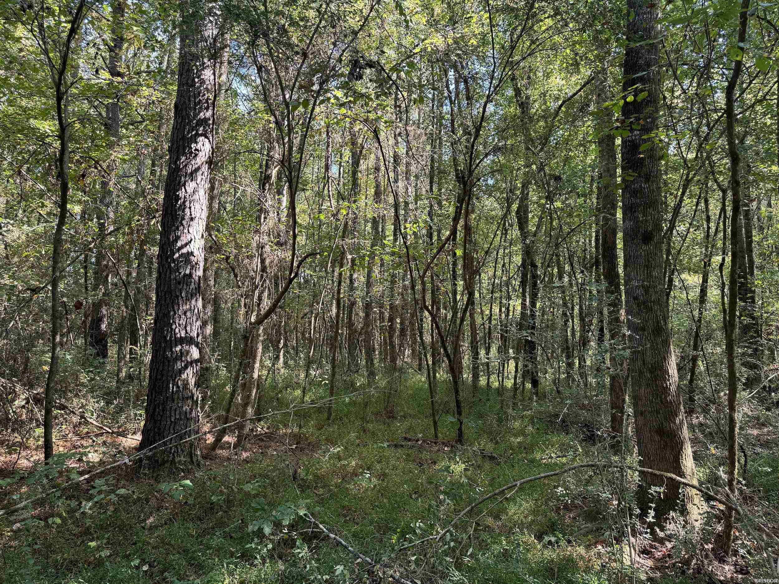 Xxx Kadoha Road Property Photo 30