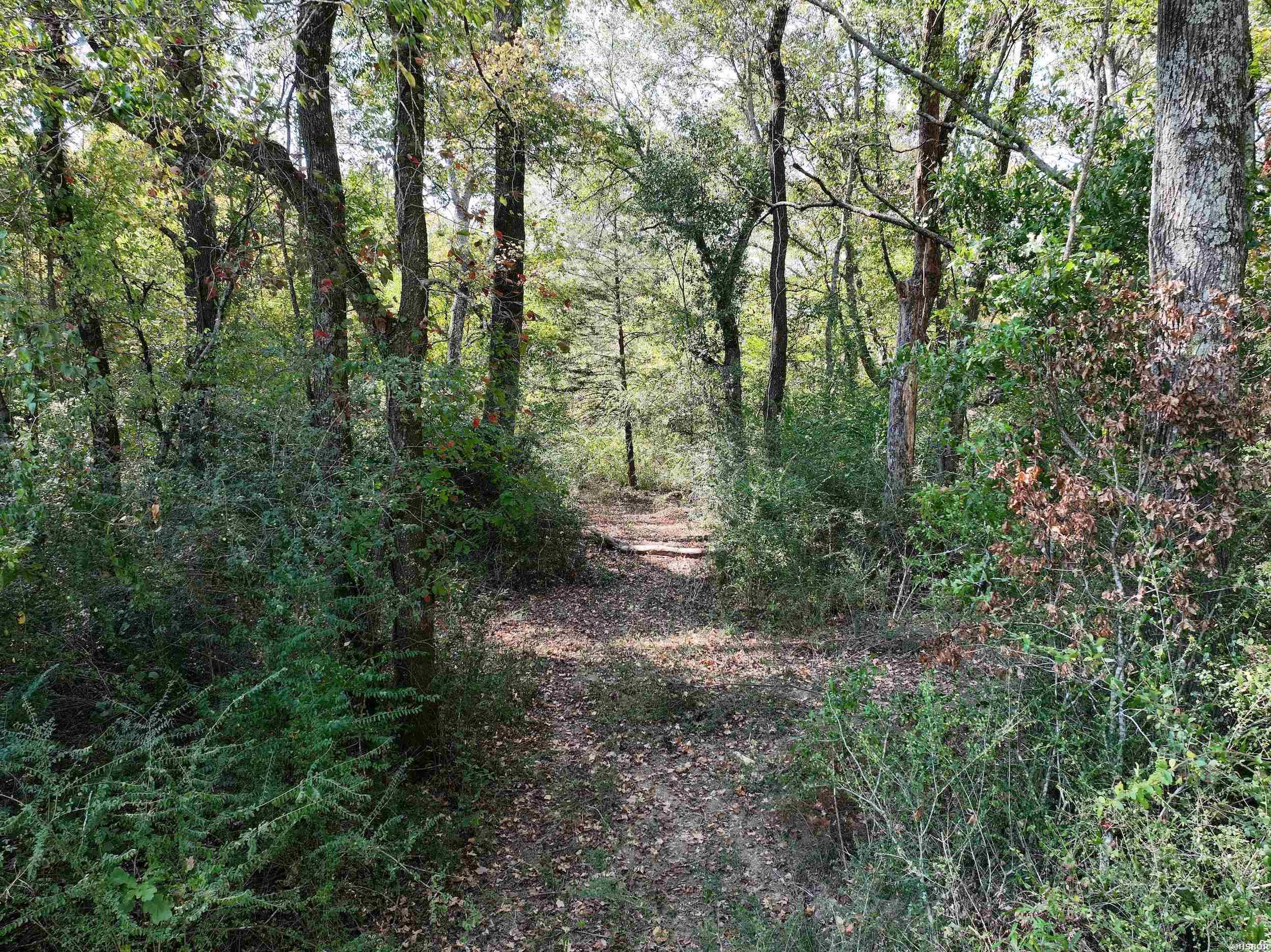 Xxx Kadoha Road Property Photo 36