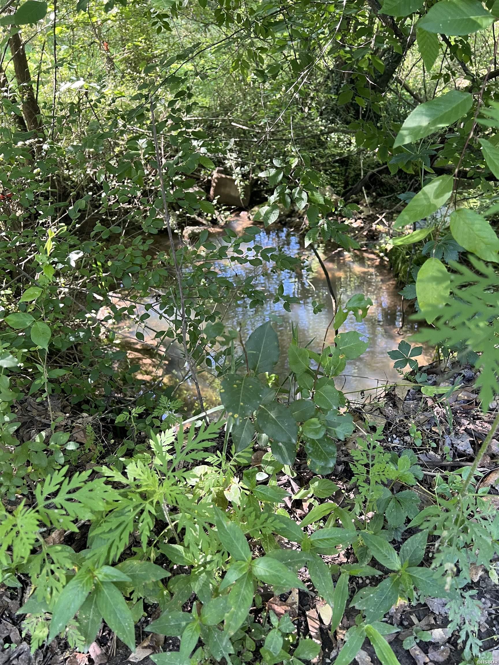 1263 Lost Creek Property Photo 26