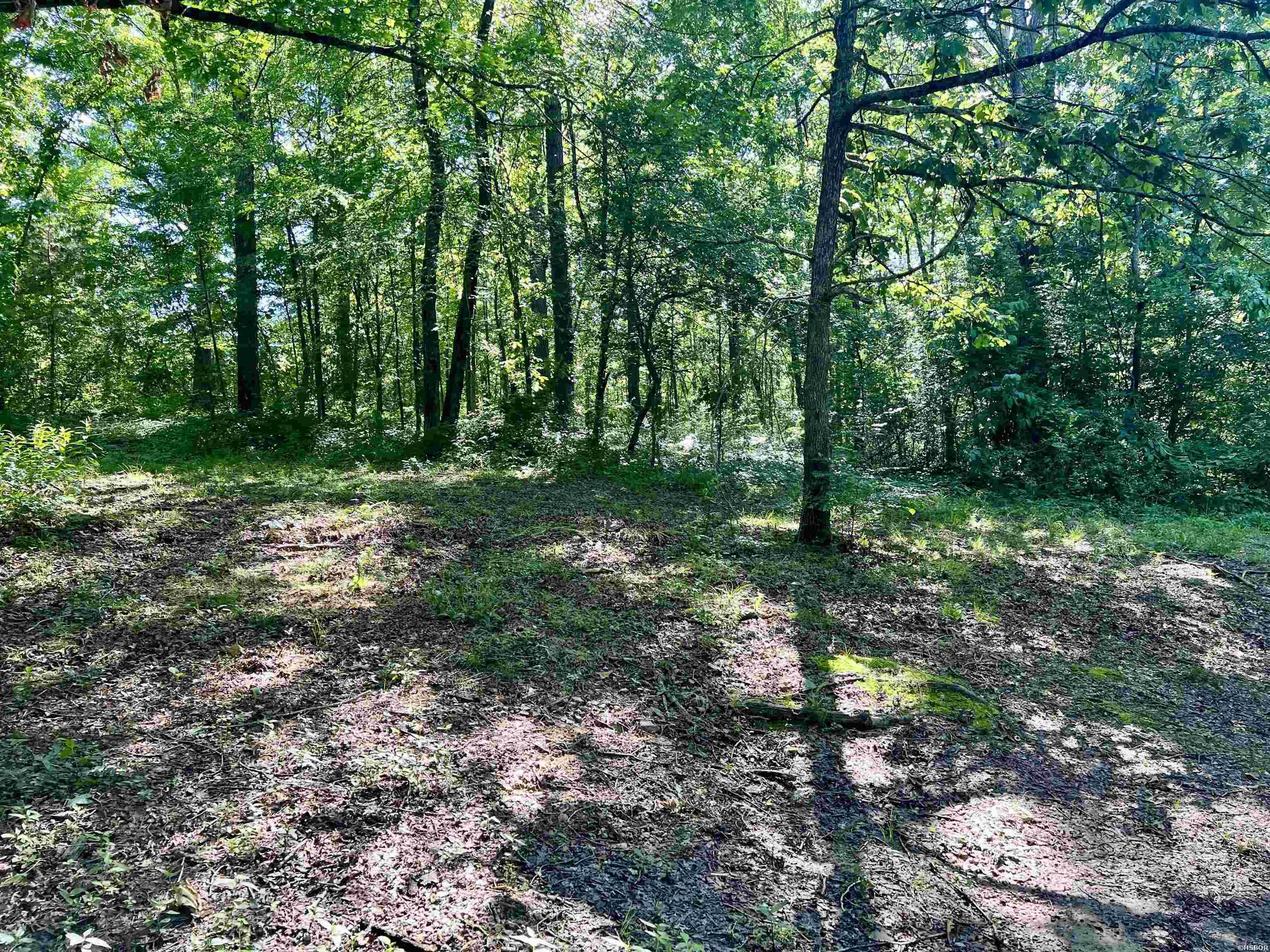 1263 Lost Creek Property Photo 27