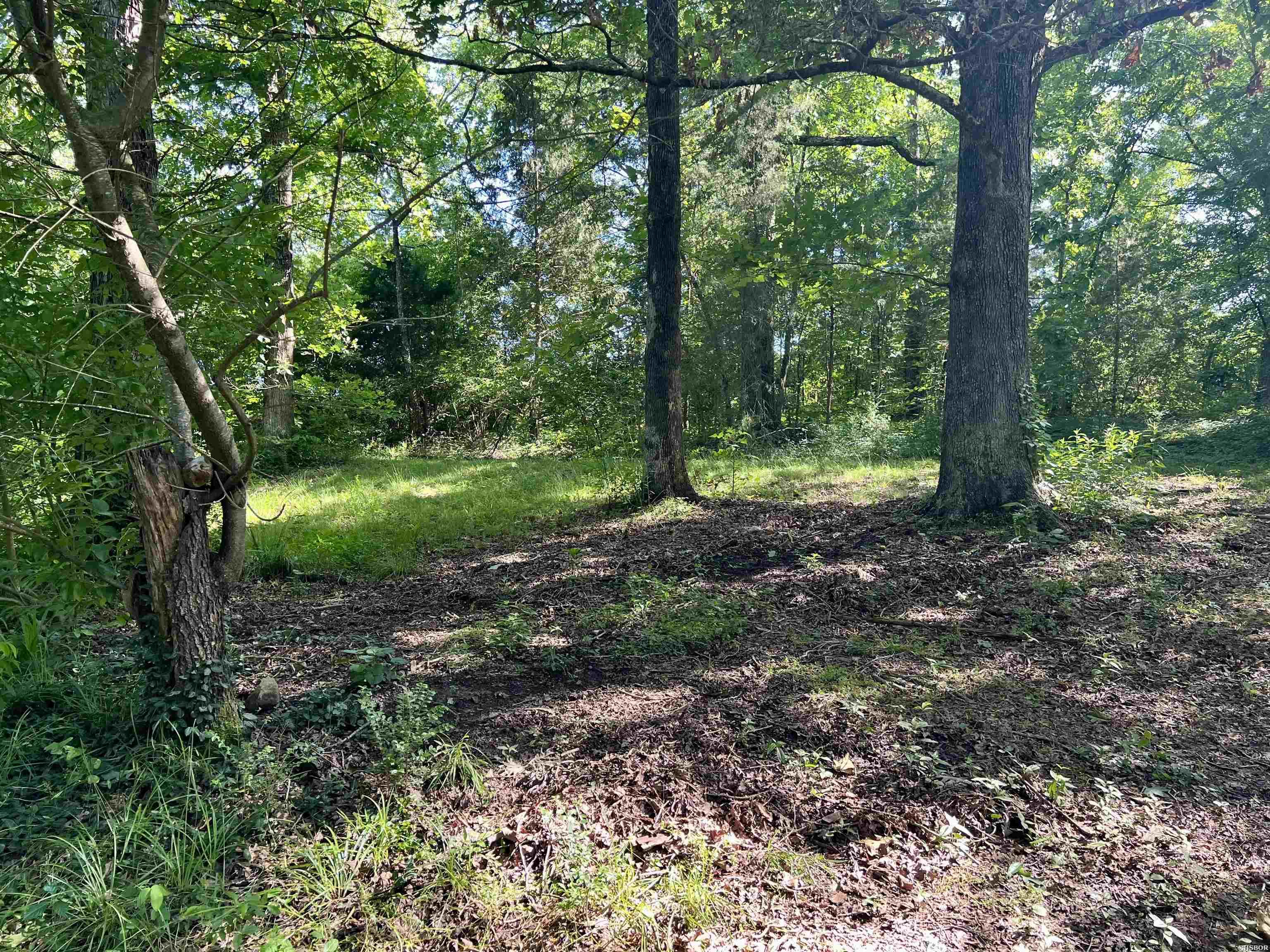 1263 Lost Creek Property Photo 28