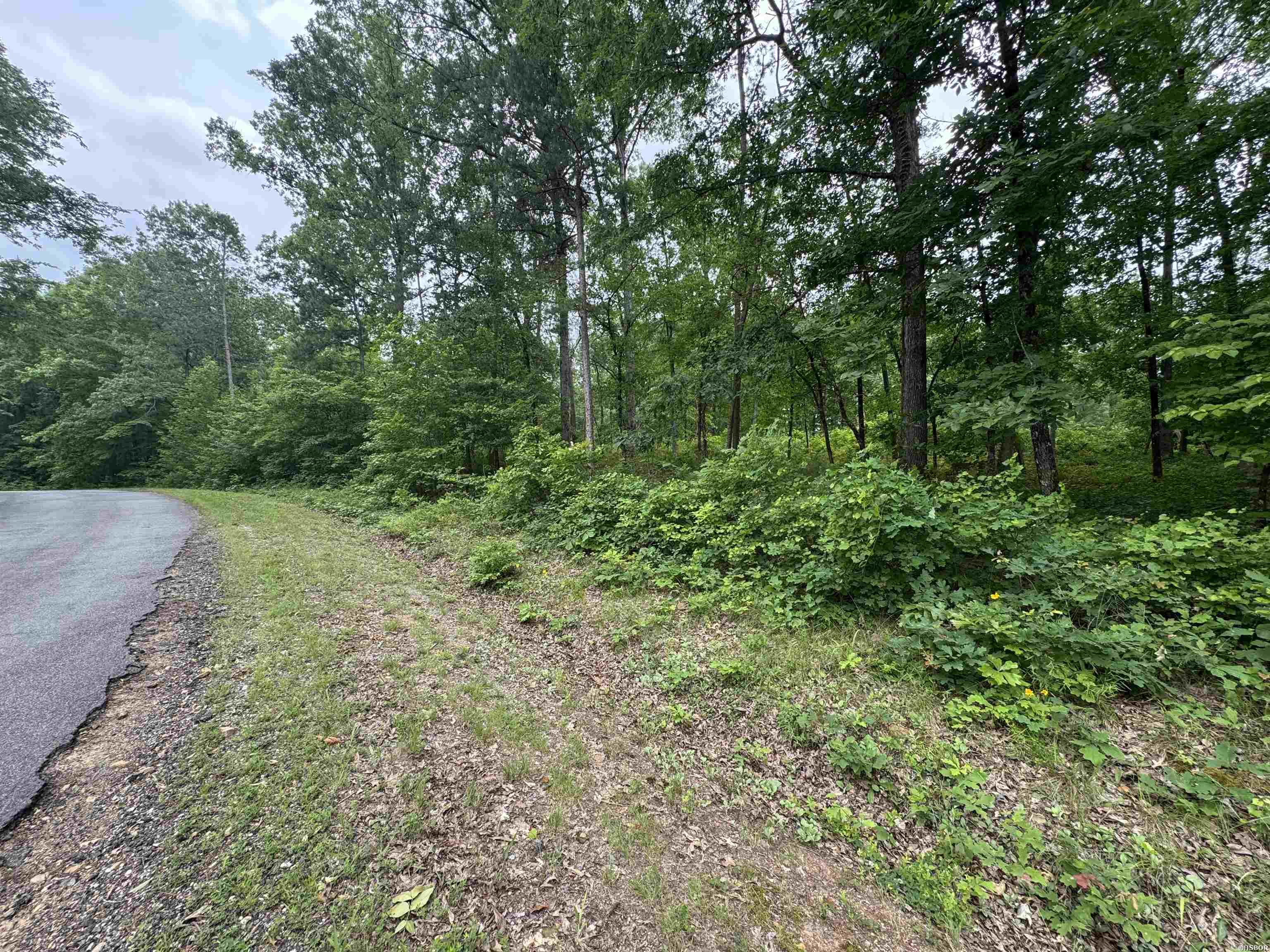 Lot 3251 Ohio Drive Property Photo 2