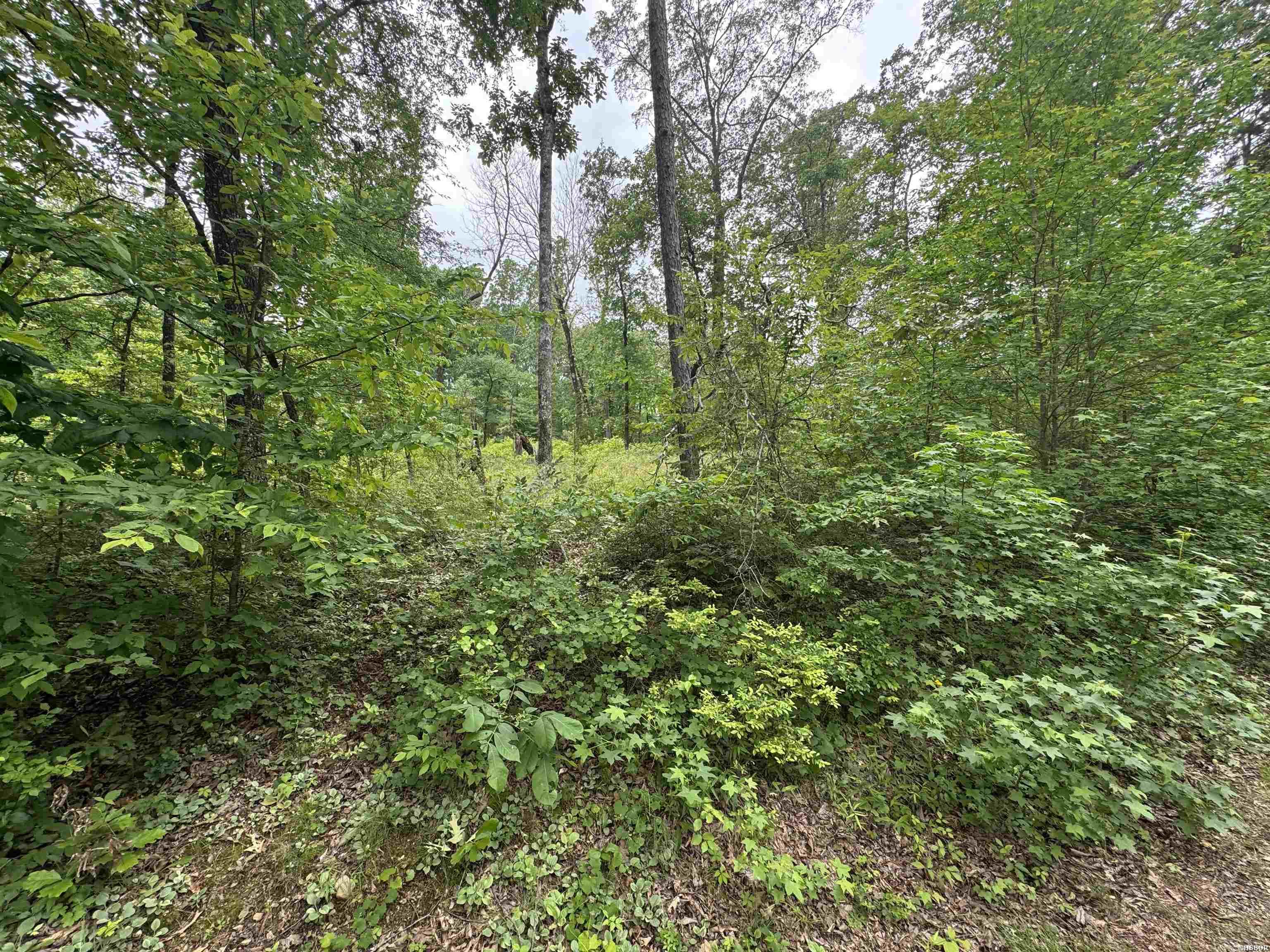 Lot 3251 Ohio Drive Property Photo 3
