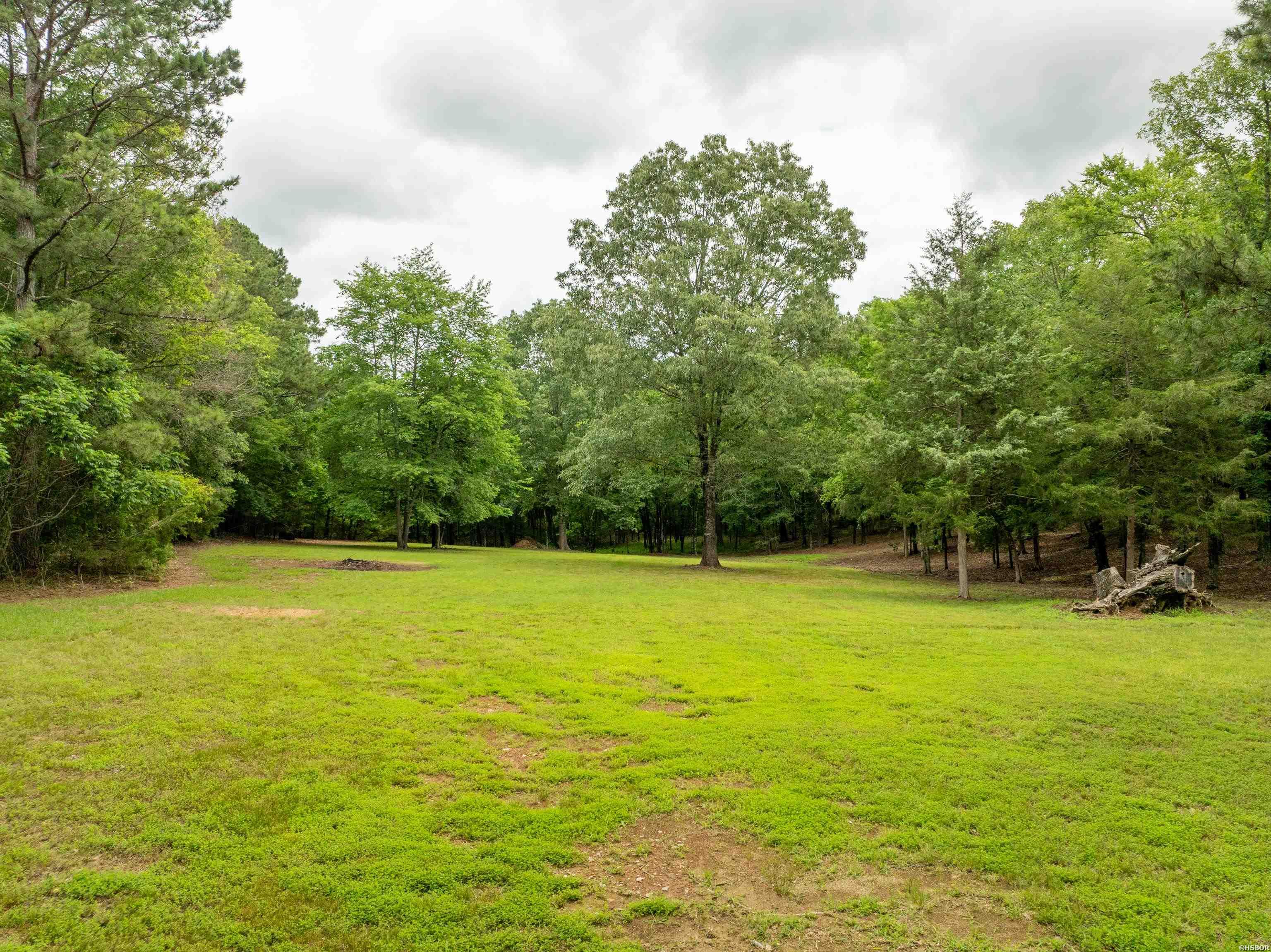 3499 Old Dallas Property Photo 44