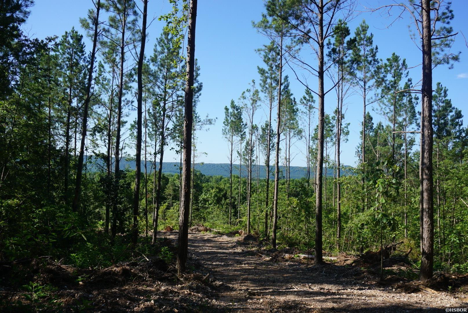 Xxx Palmer Mountain Road Property Photo 1