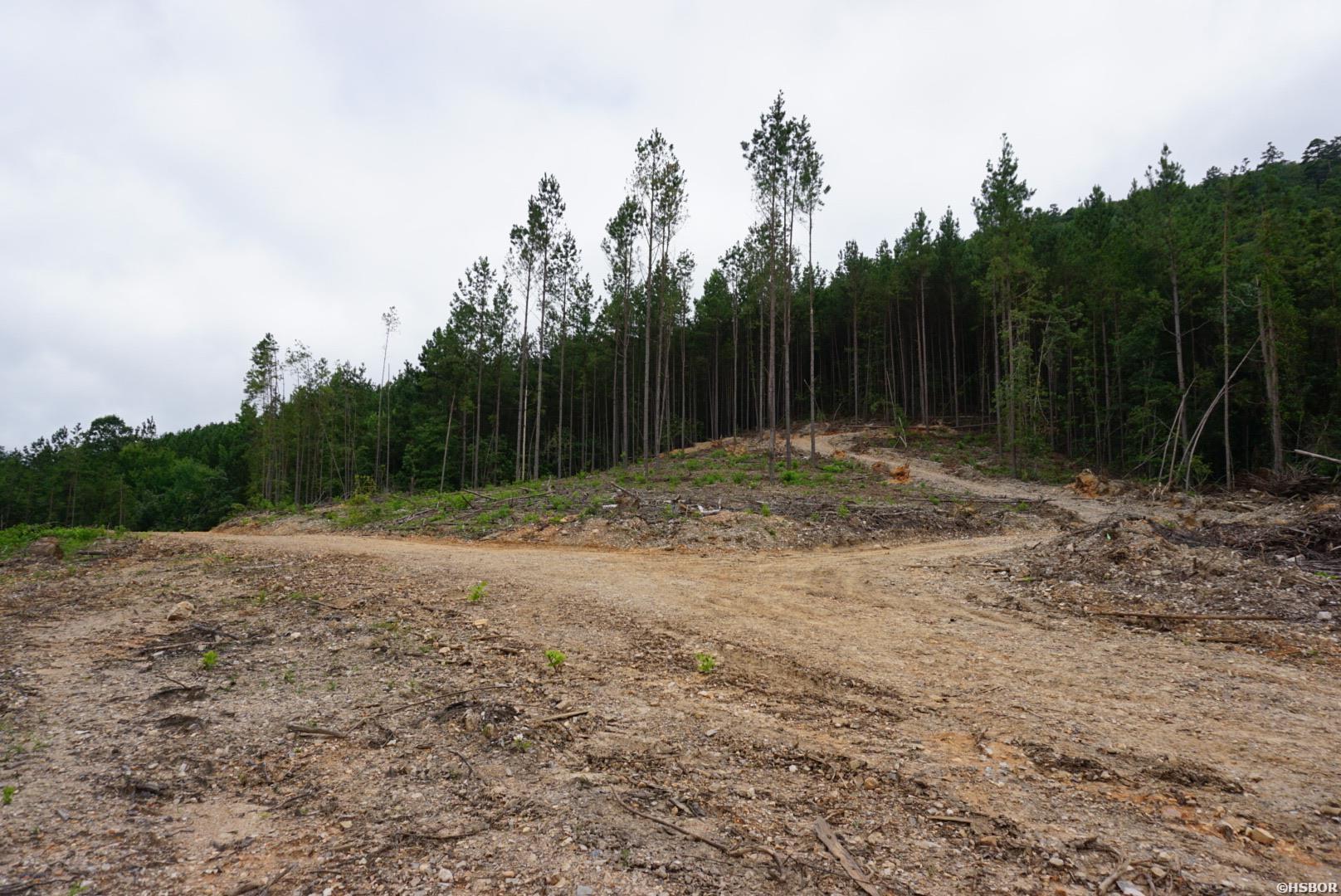 Xxx Palmer Mountain Road Property Photo 1