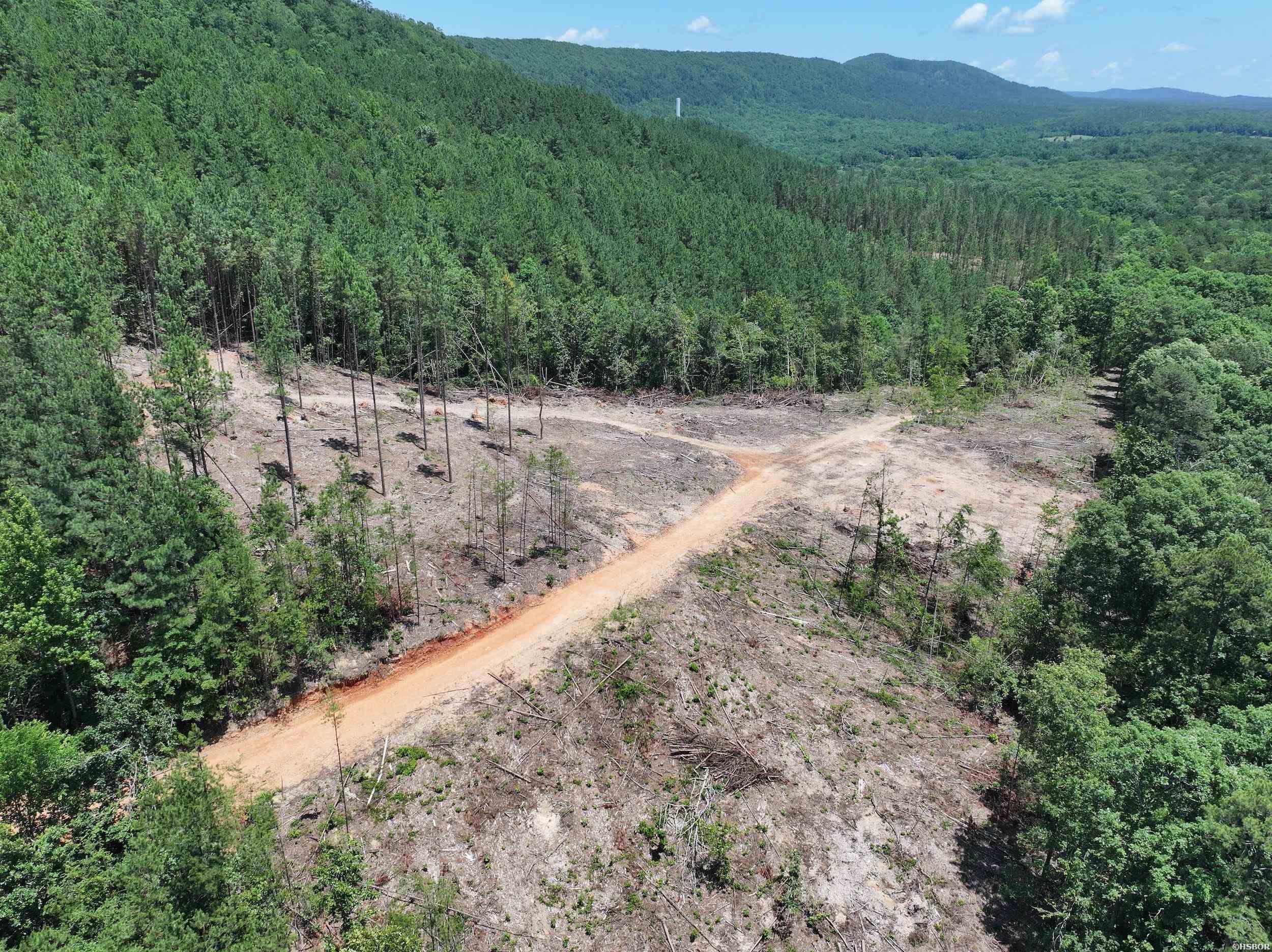 Xxx Palmer Mountain Road Property Photo 1