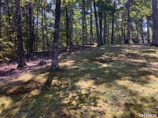 Lot 102 & 103 Marsh Harbor Property Photo 5