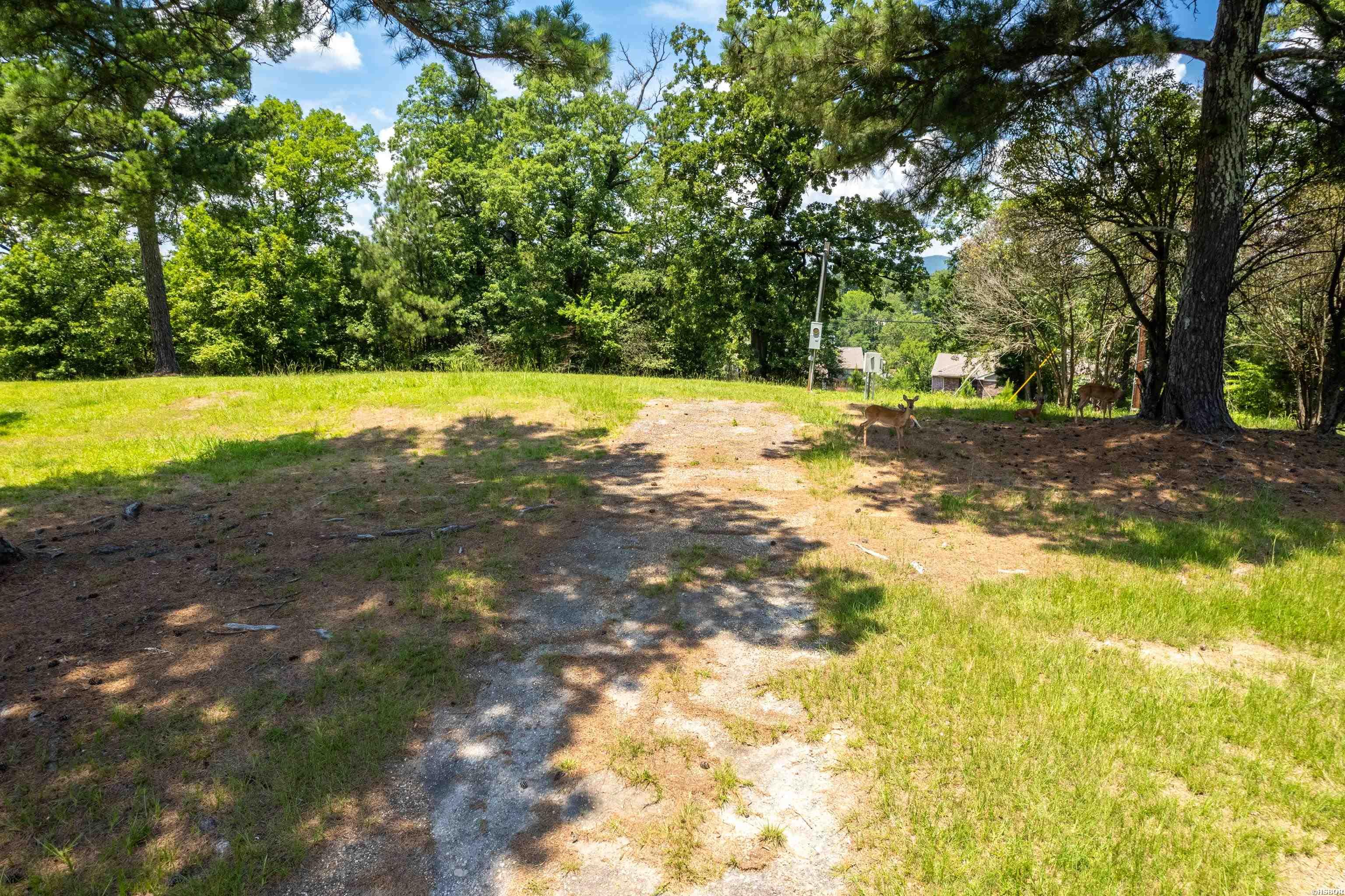 114 Ard Property Photo 7