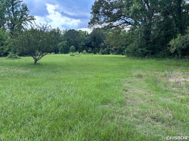 24019 S Whippoorwill Lane Property Photo 22