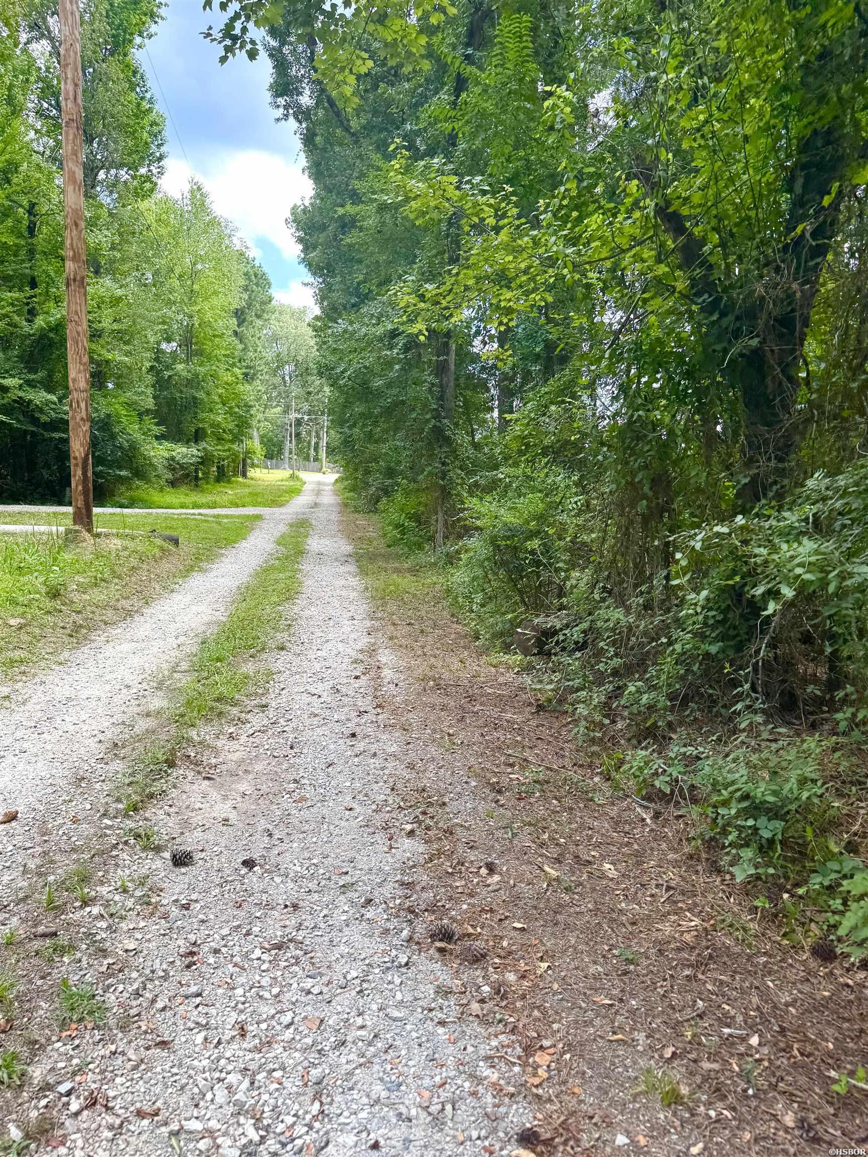 101 Songer Lane Property Photo 13