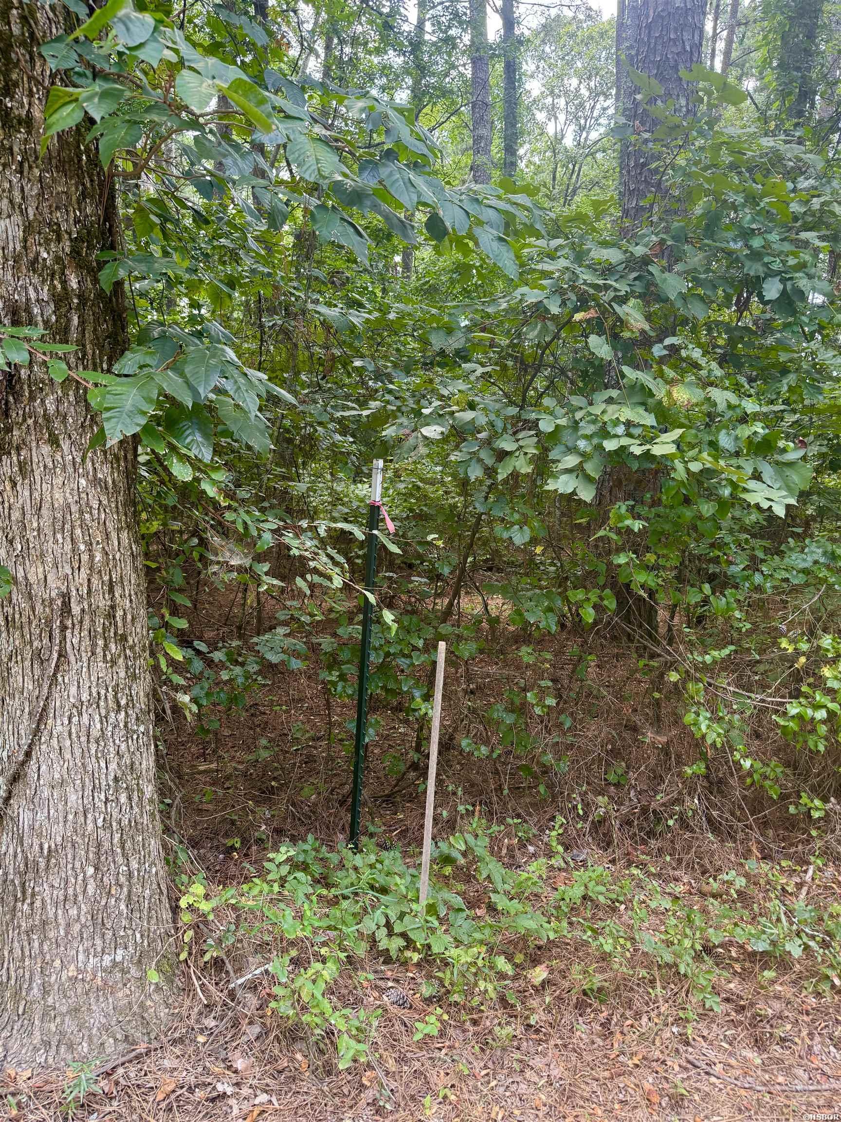 101 Songer Lane Property Photo 17