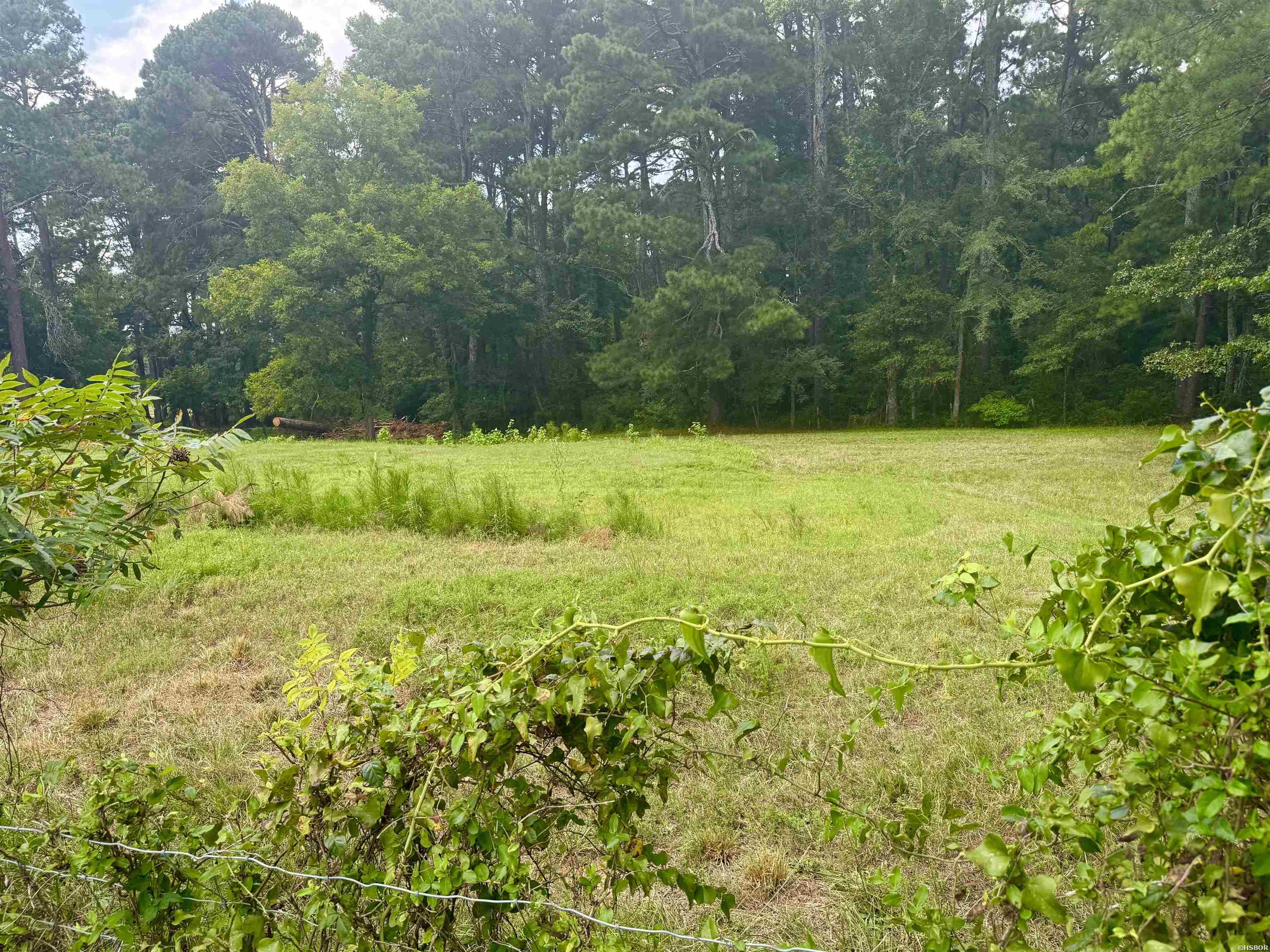 101 Songer Lane Property Photo 18
