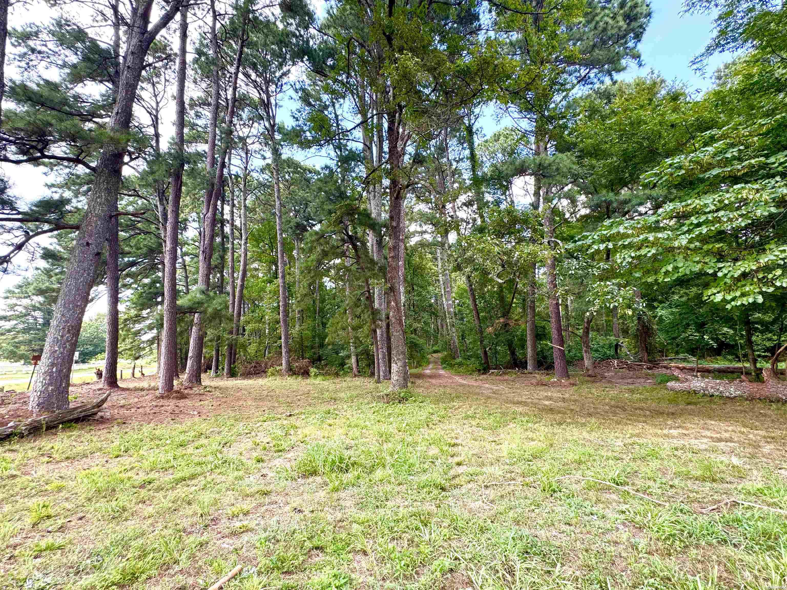 101 Songer Lane Property Photo 37