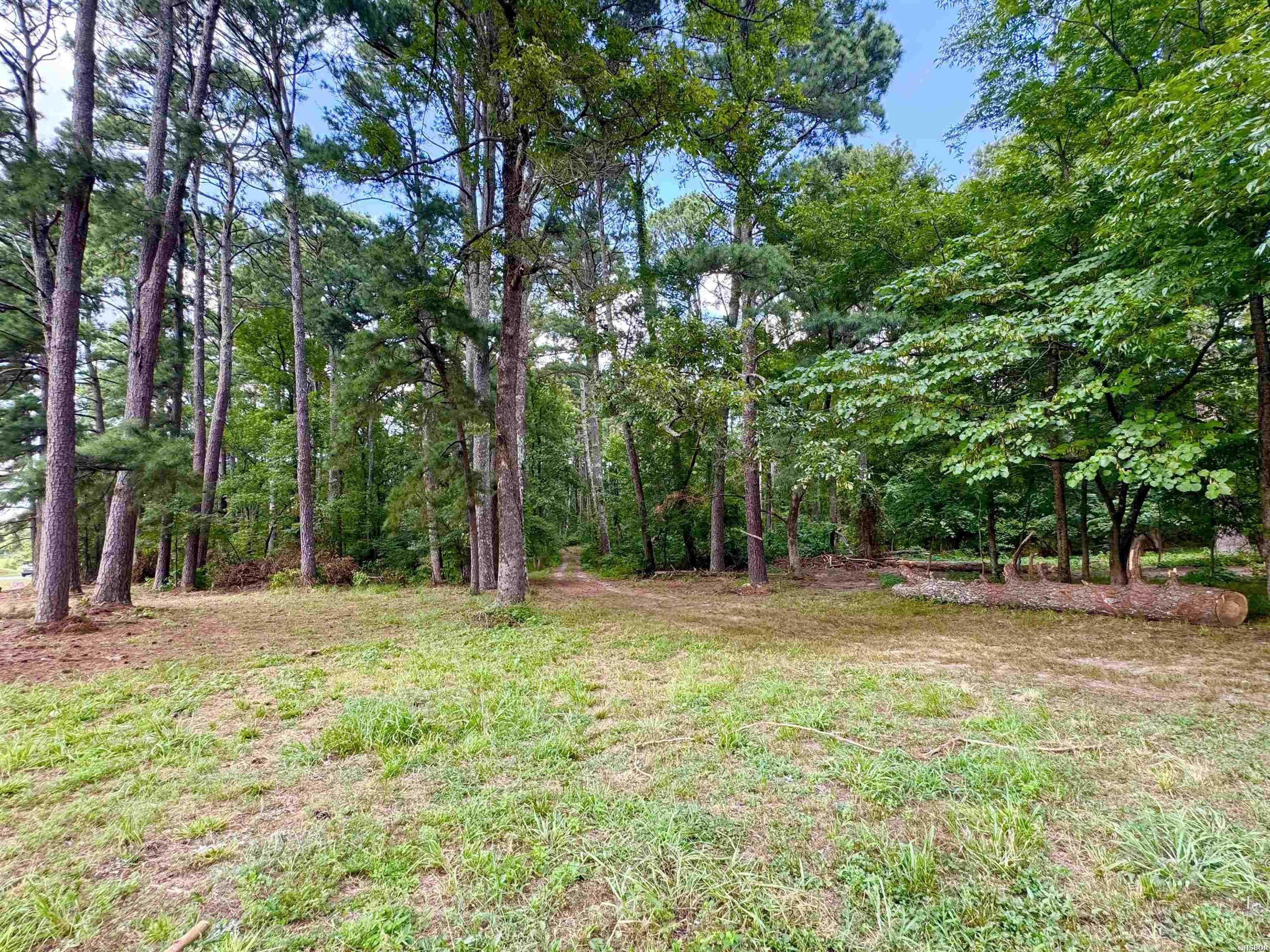 101 Songer Lane Property Photo 38