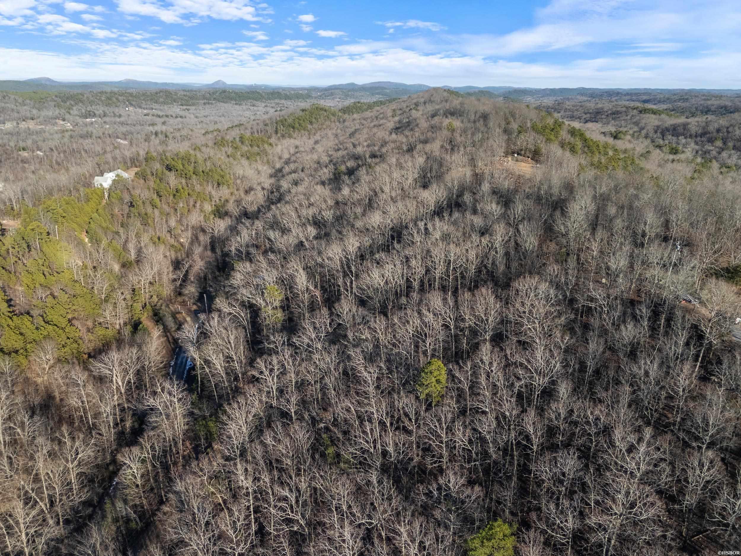 Lot 7,8,9 Turkey Trail Property Photo 6