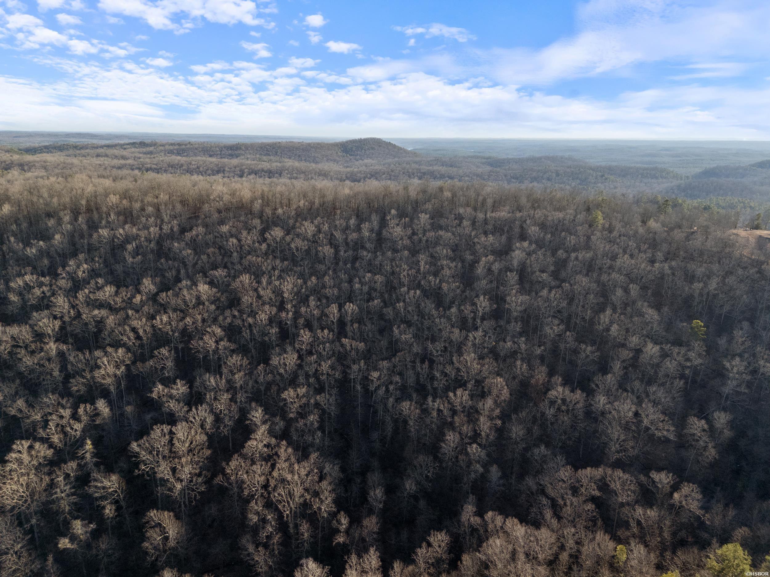 Lot 7,8,9 Turkey Trail Property Photo 16