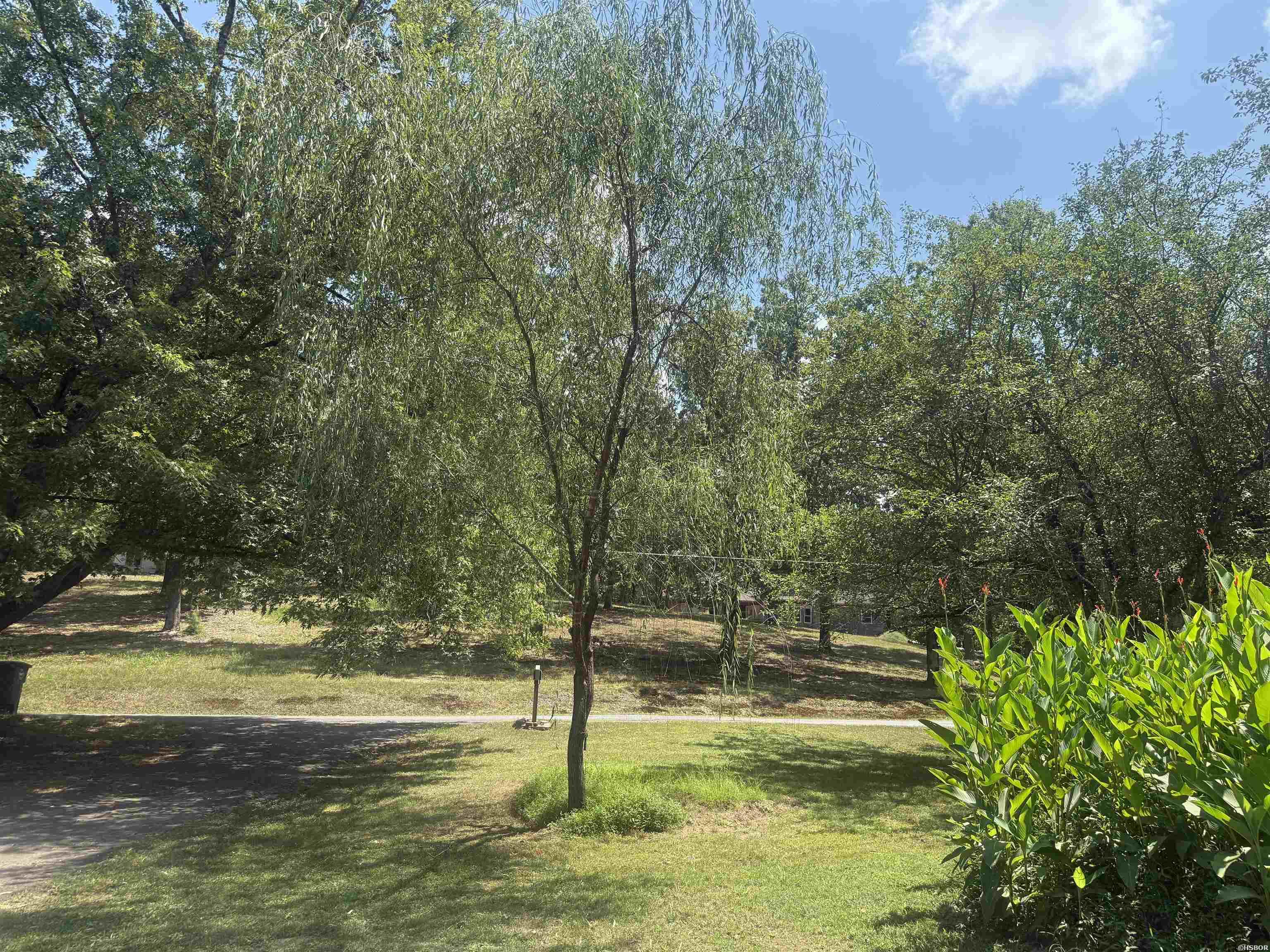 234 Randallwood Drive Property Photo 4