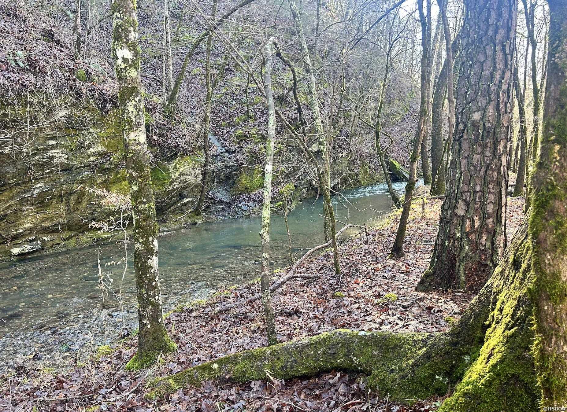 Rpid 6702 Liberty Road Property Photo 2