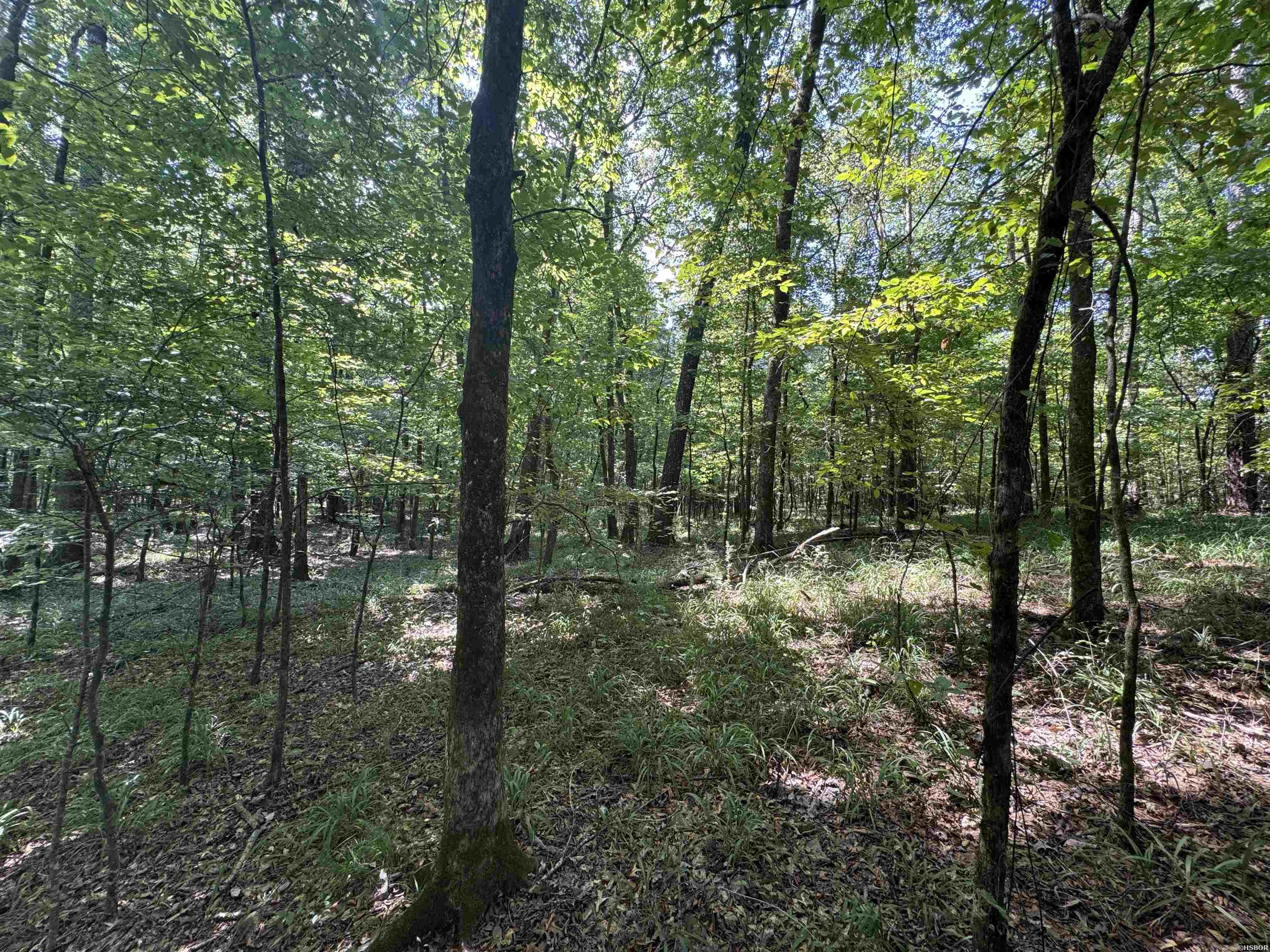 Rpid 6702 Liberty Road Property Photo 7