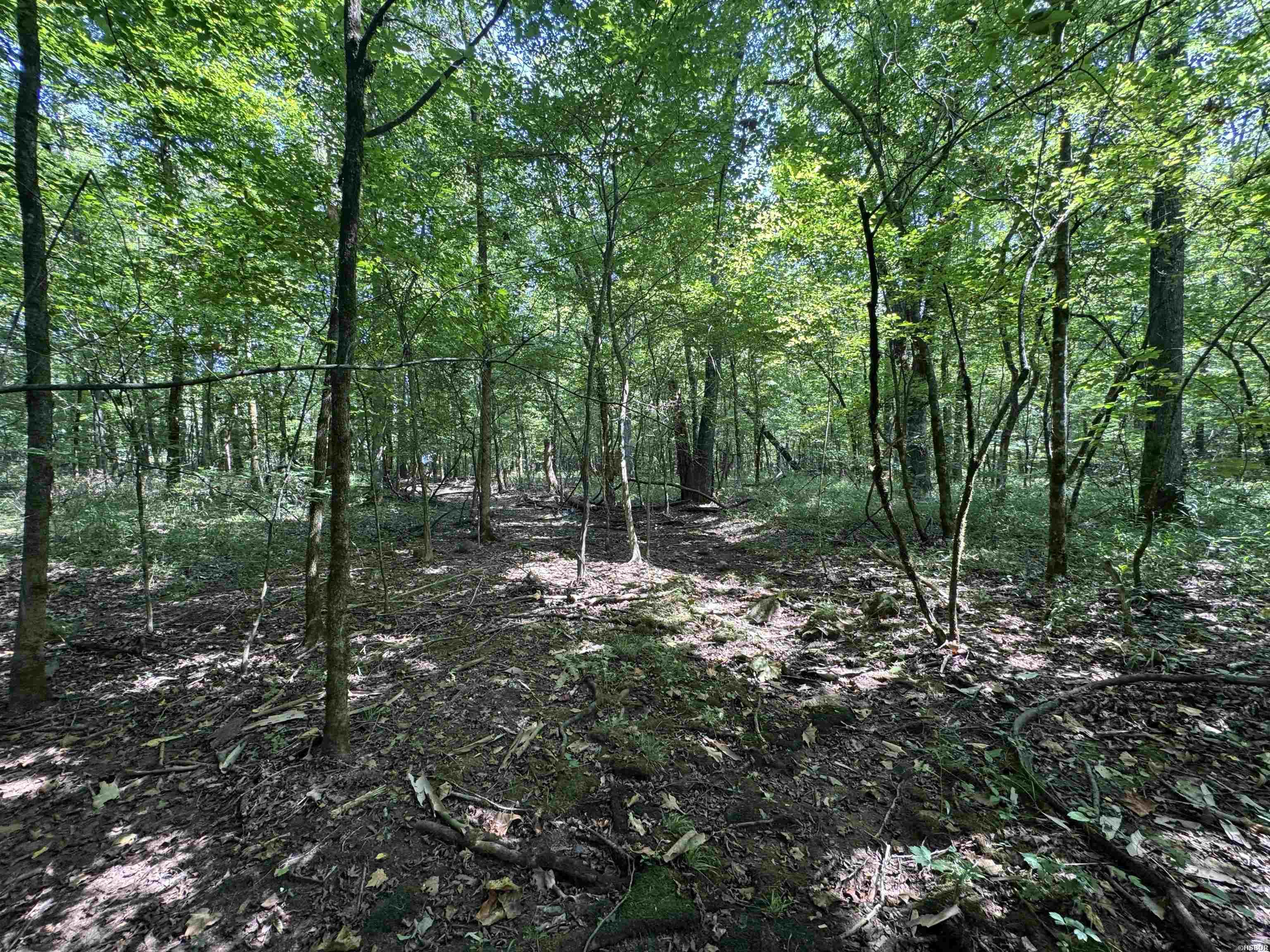 Rpid 6702 Liberty Road Property Photo 8