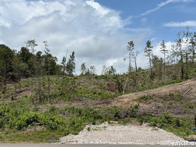 Xxx N Hwy 7 Property Photo 8