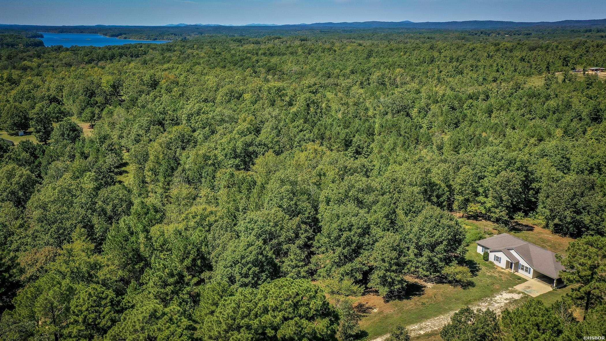 883 Ozark Loop Property Photo 30