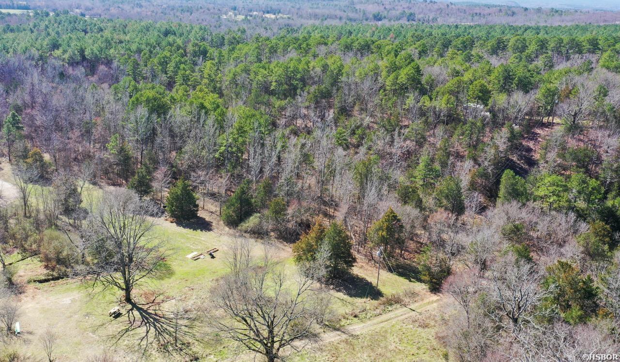 207 Rains Lane Property Photo 5