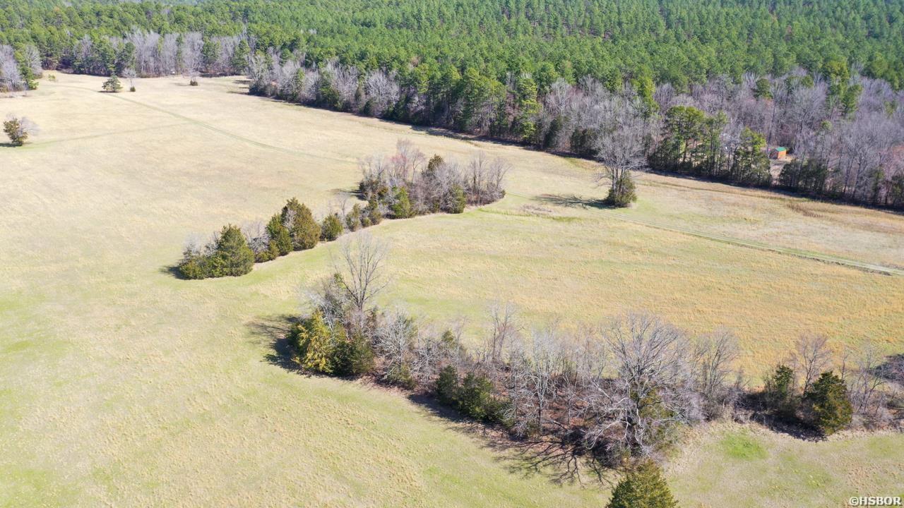 207 Rains Lane Property Photo 9