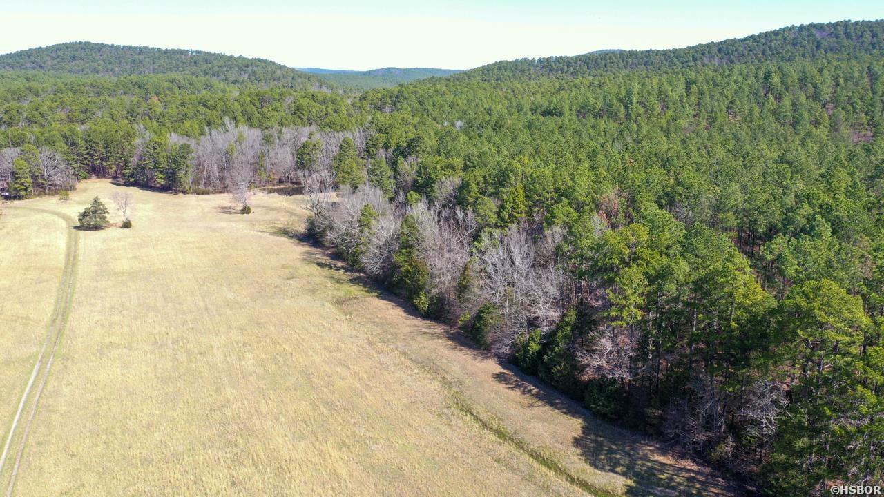 207 Rains Lane Property Photo 25
