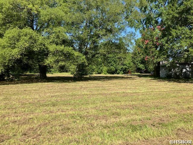 420 Hwy 290 Property Photo 14