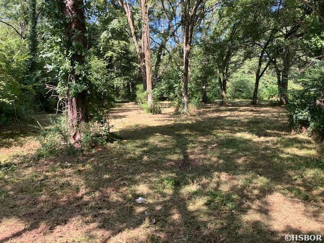 420 Hwy 290 Property Photo 16