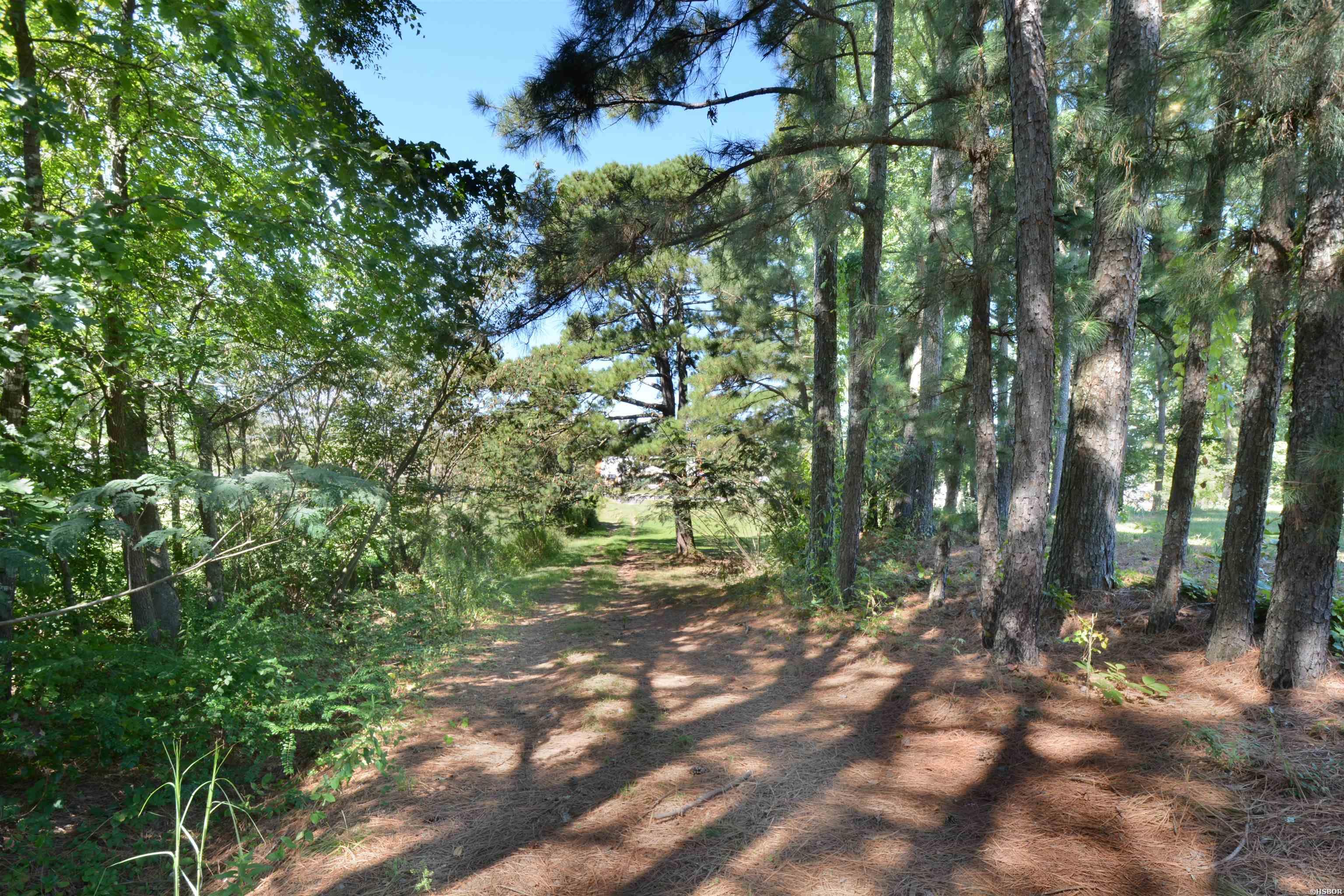3435 Albert Pike Road Property Photo 37