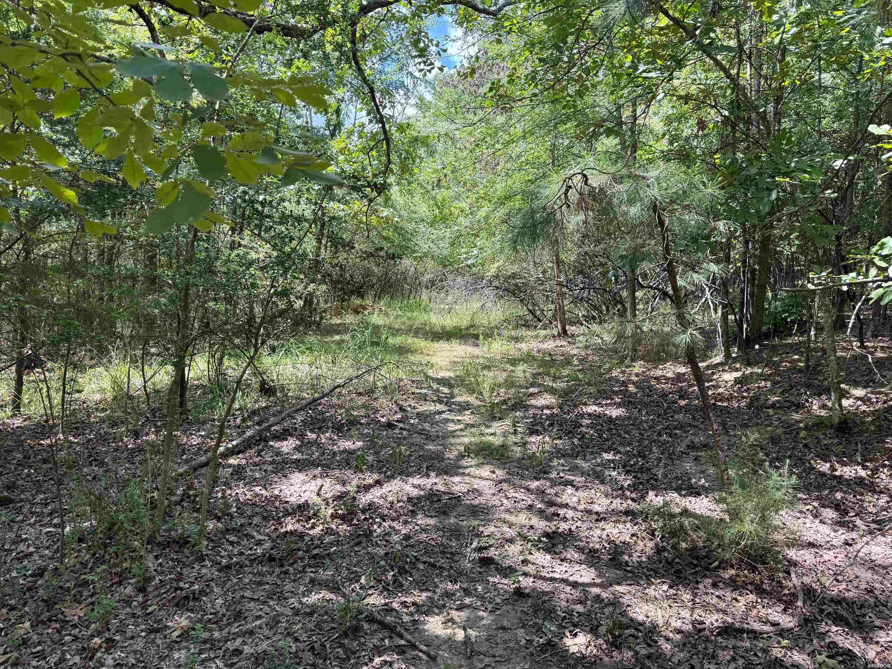 000 La Bella Bay Road Property Photo 3